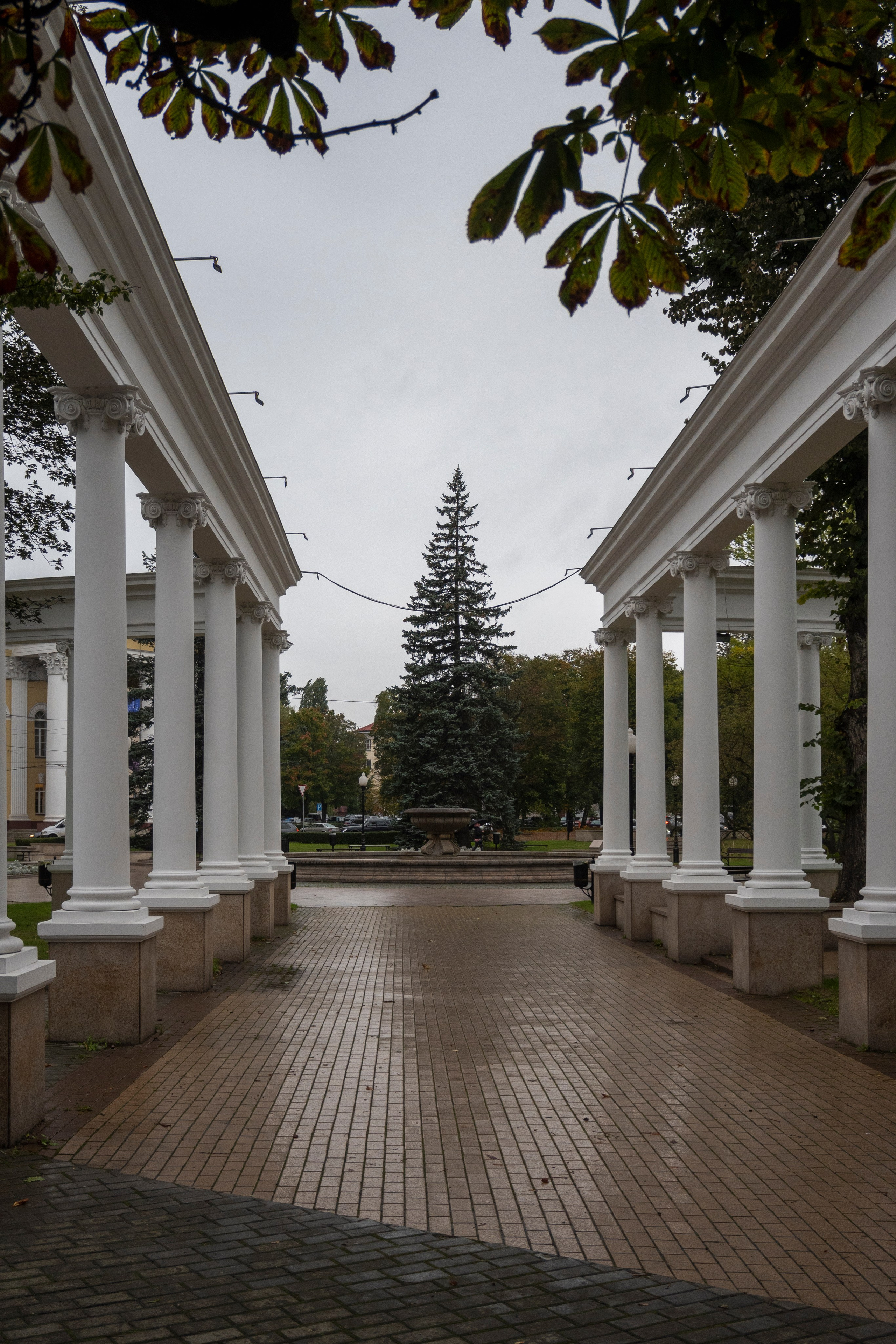 Калининград. Октябрь 2023. Фотограф Роман Адлер