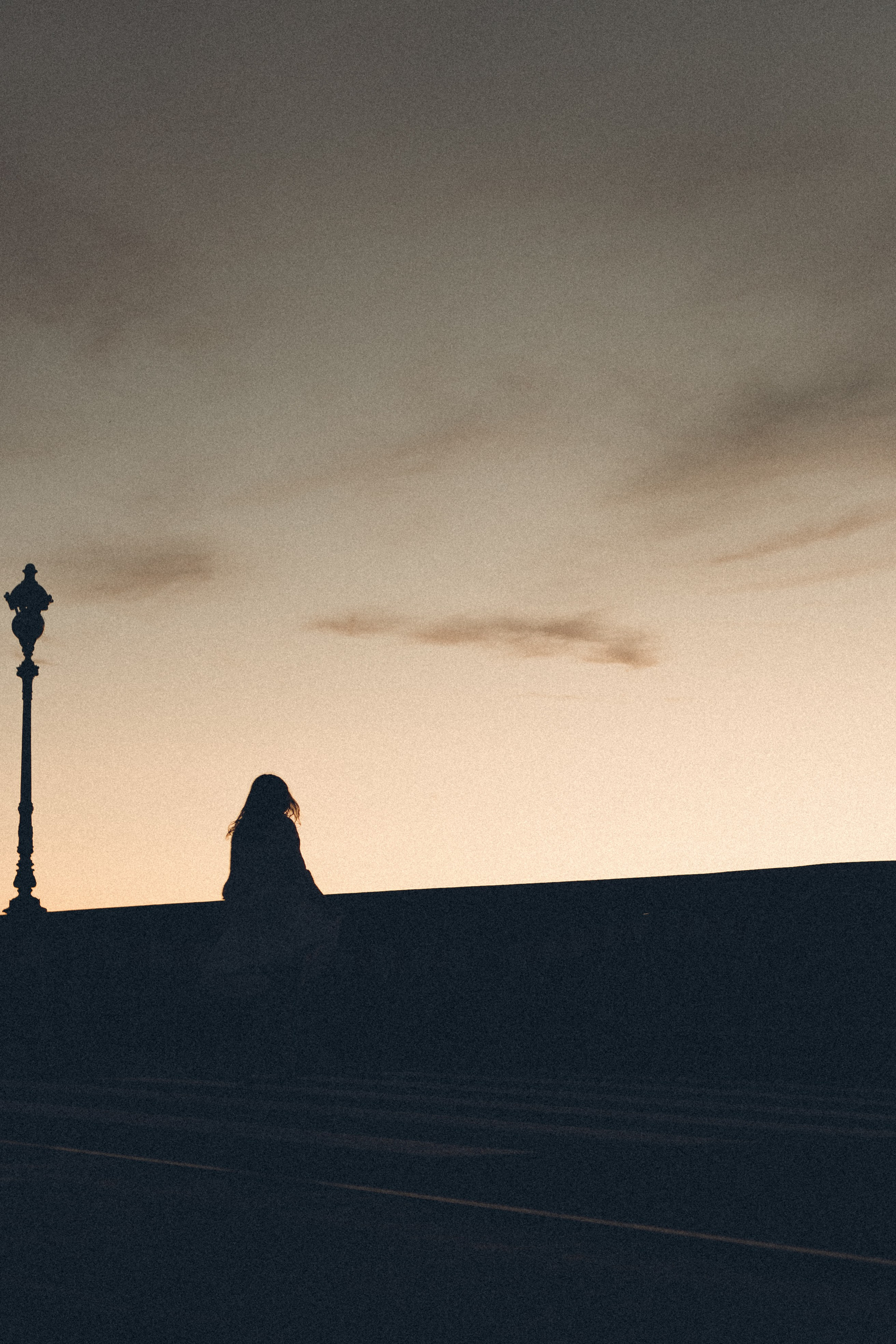 РАССВЕТ С РАЗВОДНЫМИ МОСТАМИ. Профессиональный фотограф, Санкт-Петербург — Виктория Богомолова