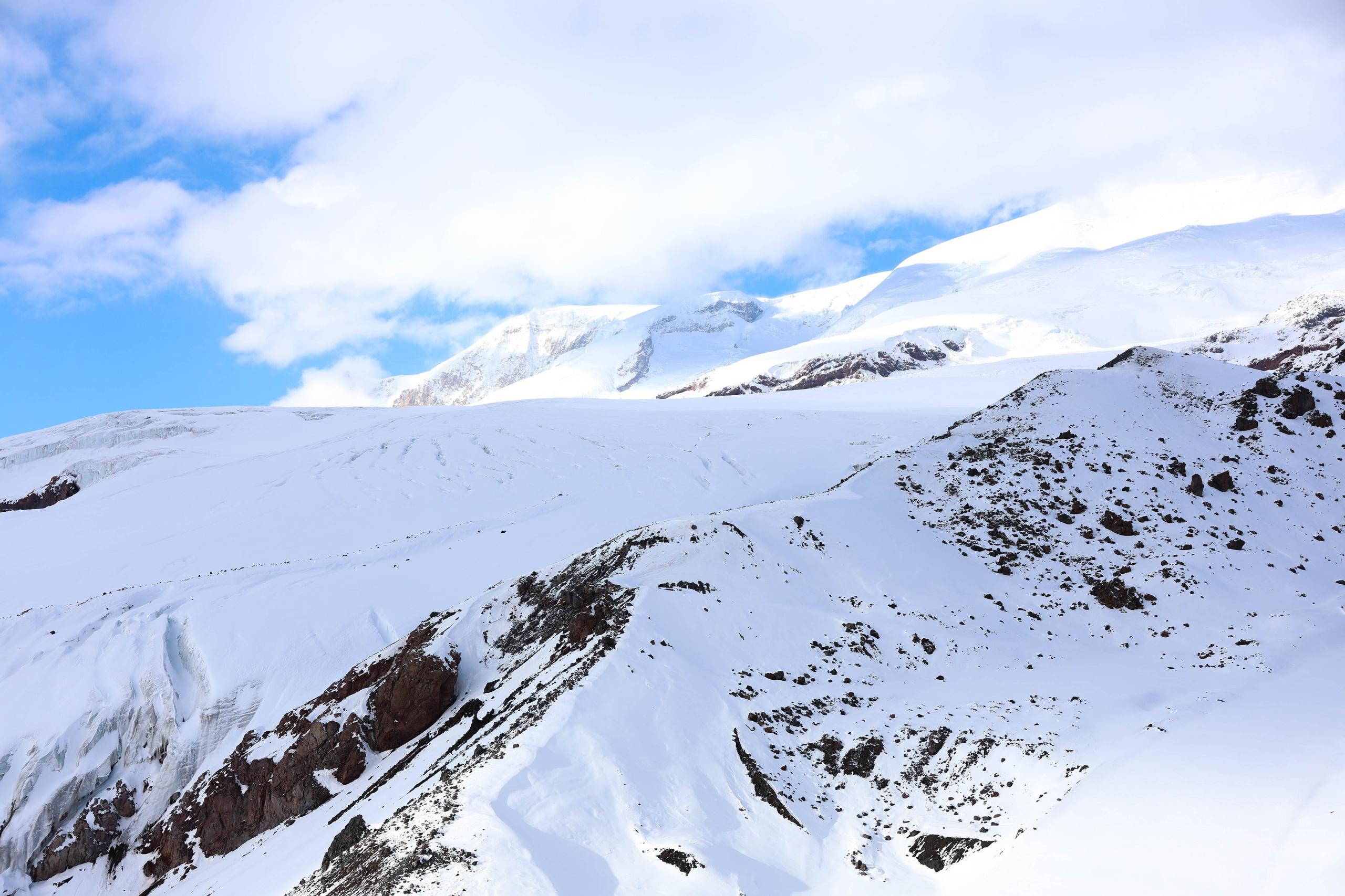 Фотограф Мария Алексеева. Мария Алексеева. Фотограф в Москве