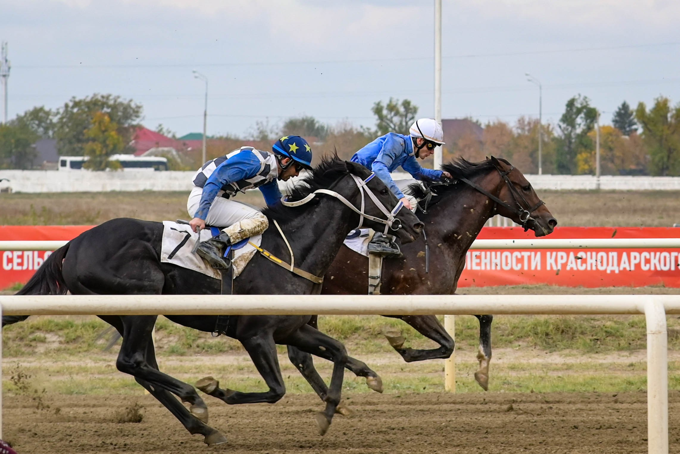 Закрытие скакового сезона 2024 г. Краснодар. Фотограф Краснодар Наталья Сувит