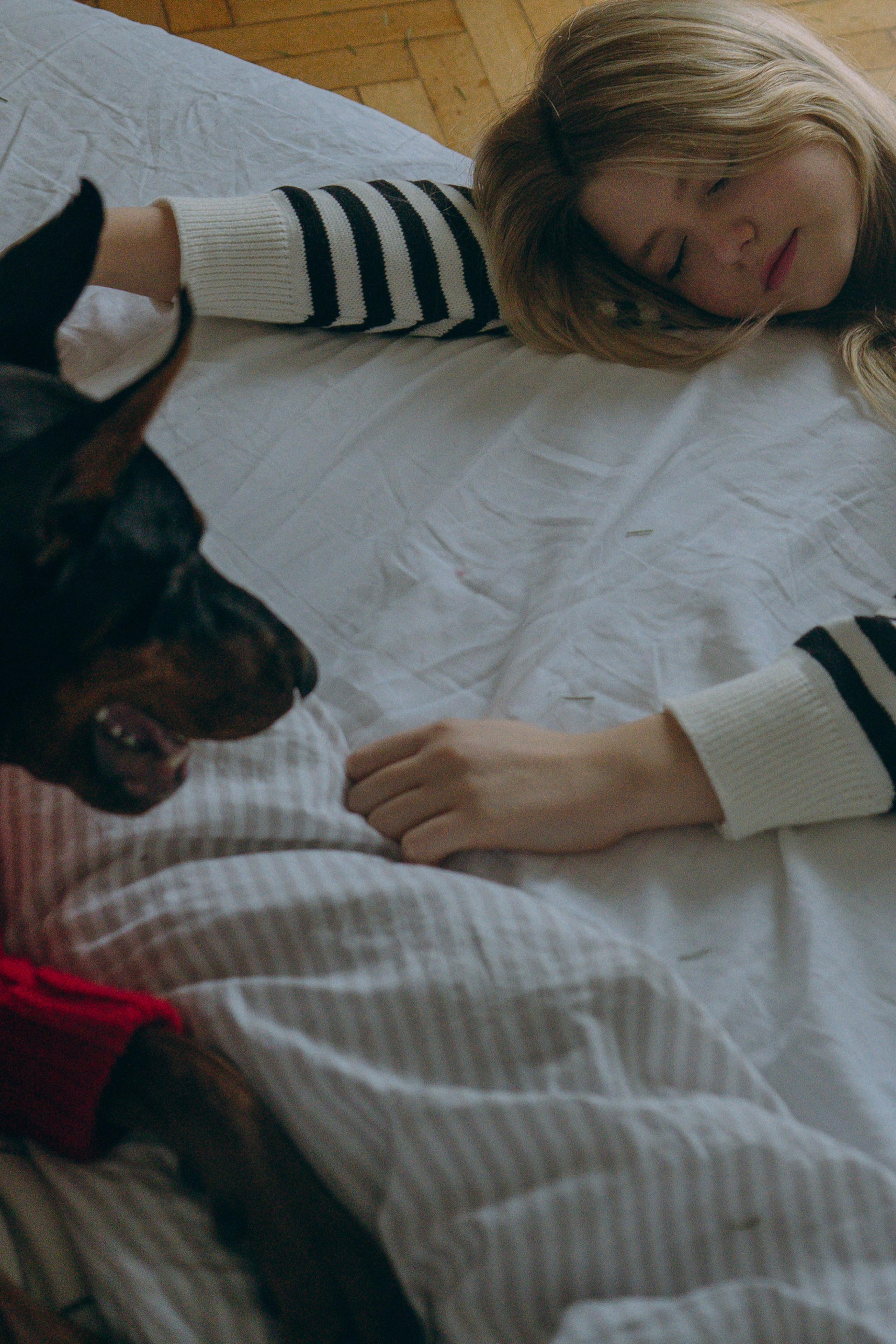 Саша и Асти. Фотограф анималист в Москве и Санкт-Петербурге Свиридова Анна