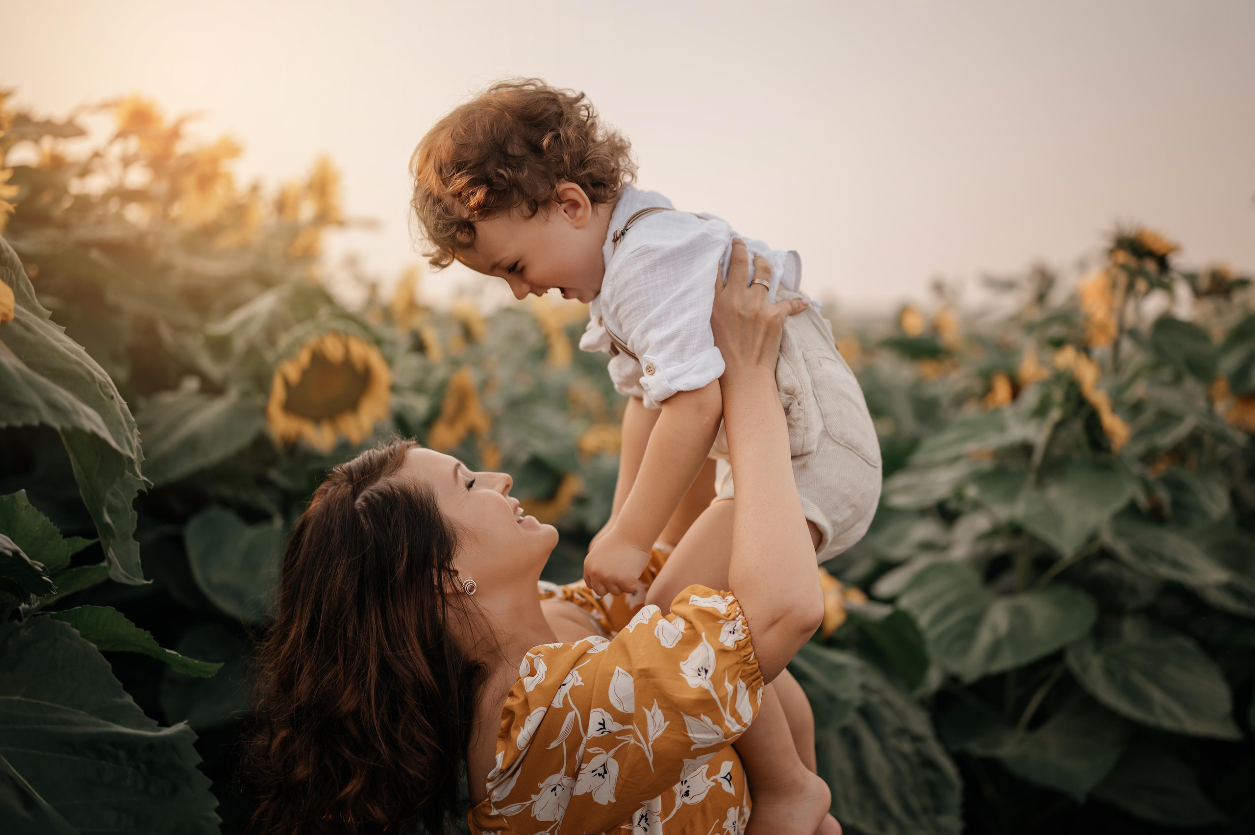 Подсолнухи. Фотограф Юлия Павлова Красноярск