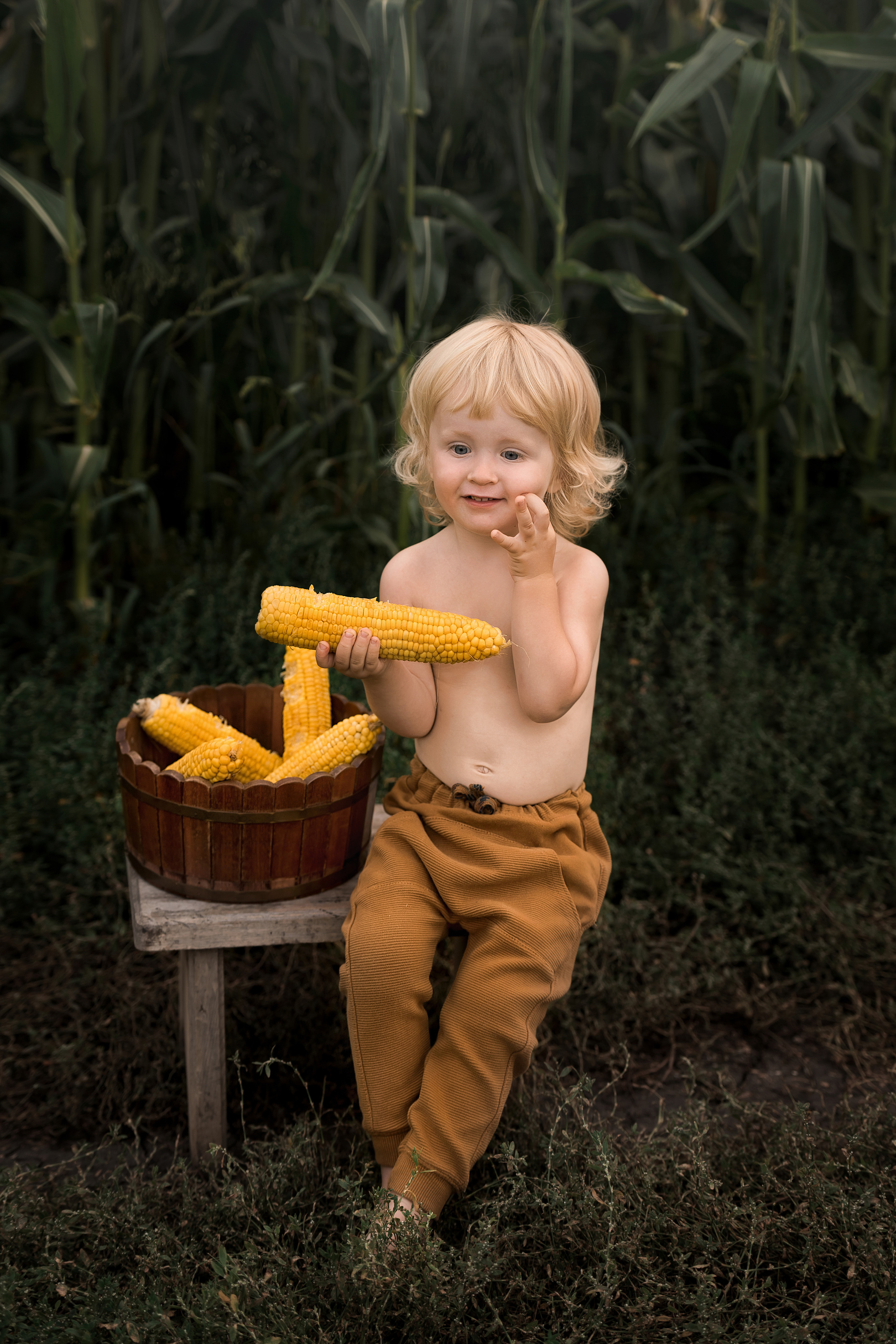 Кукуруза. Фотограф Юлия Павлова Красноярск