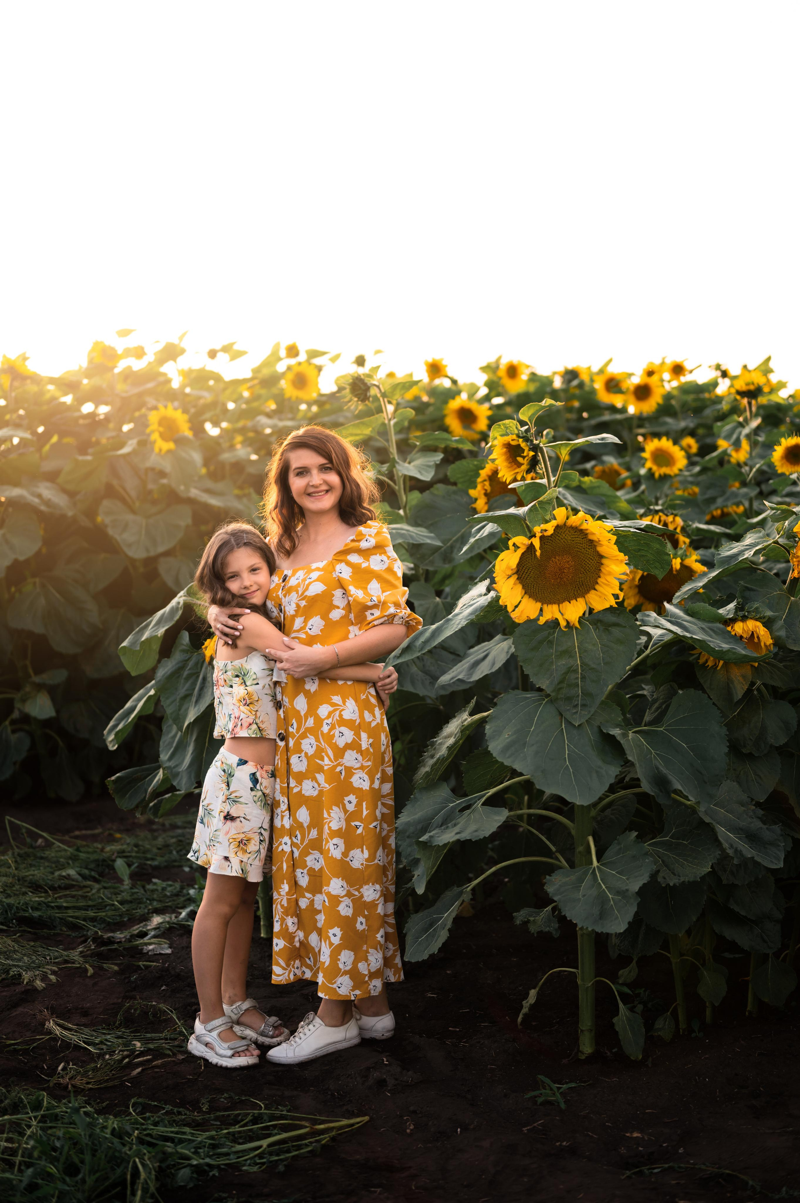Подсолнухи. Фотограф Юлия Павлова Красноярск