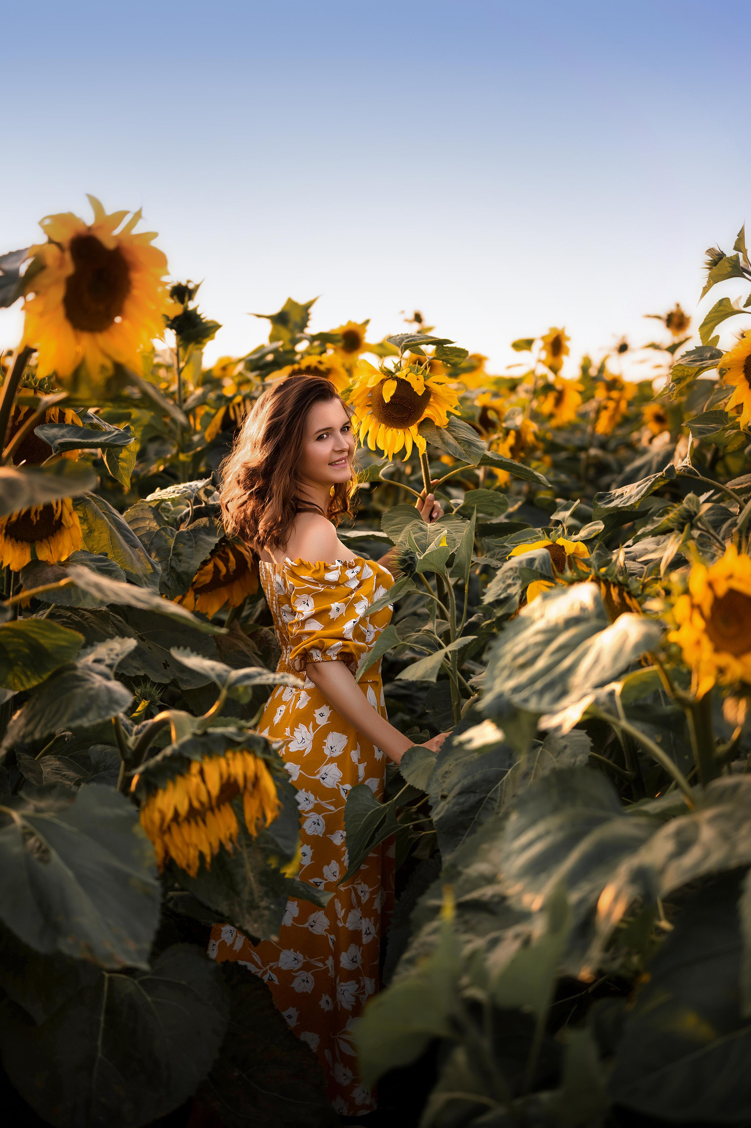 Подсолнухи. Фотограф Юлия Павлова Красноярск