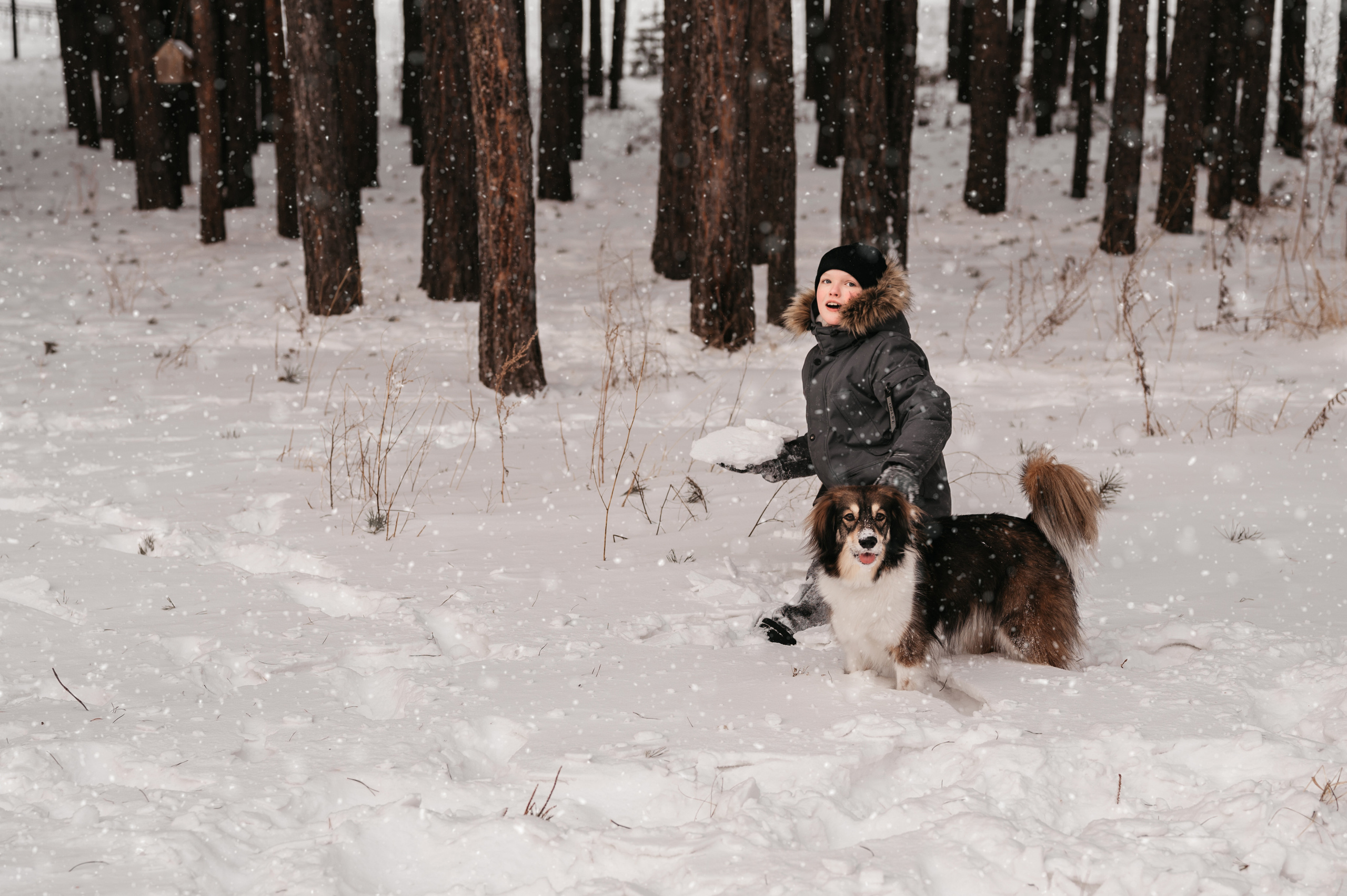 Зимняя прогулка. Фотограф Юлия Павлова Красноярск