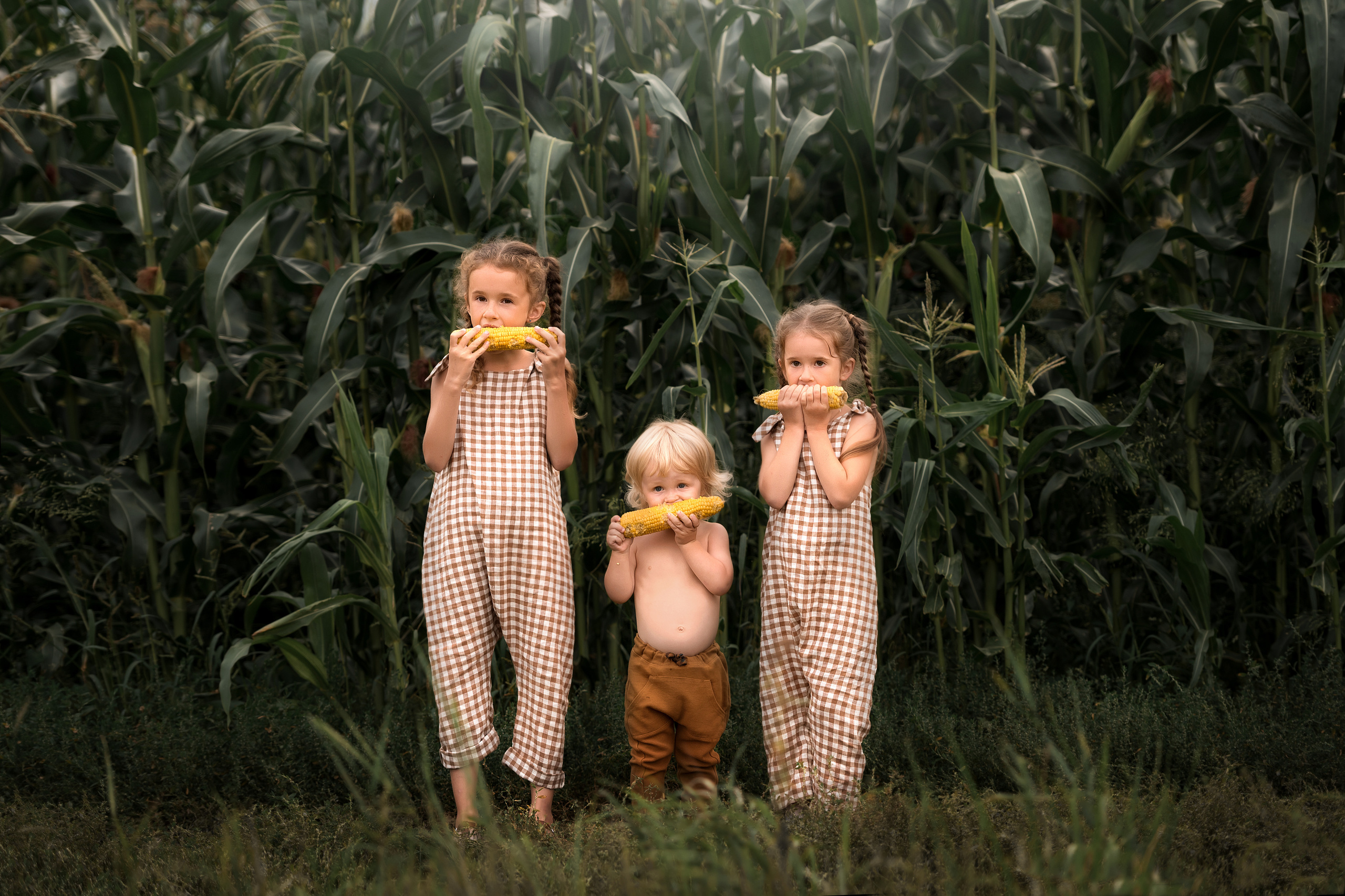 Кукуруза. Фотограф Юлия Павлова Красноярск