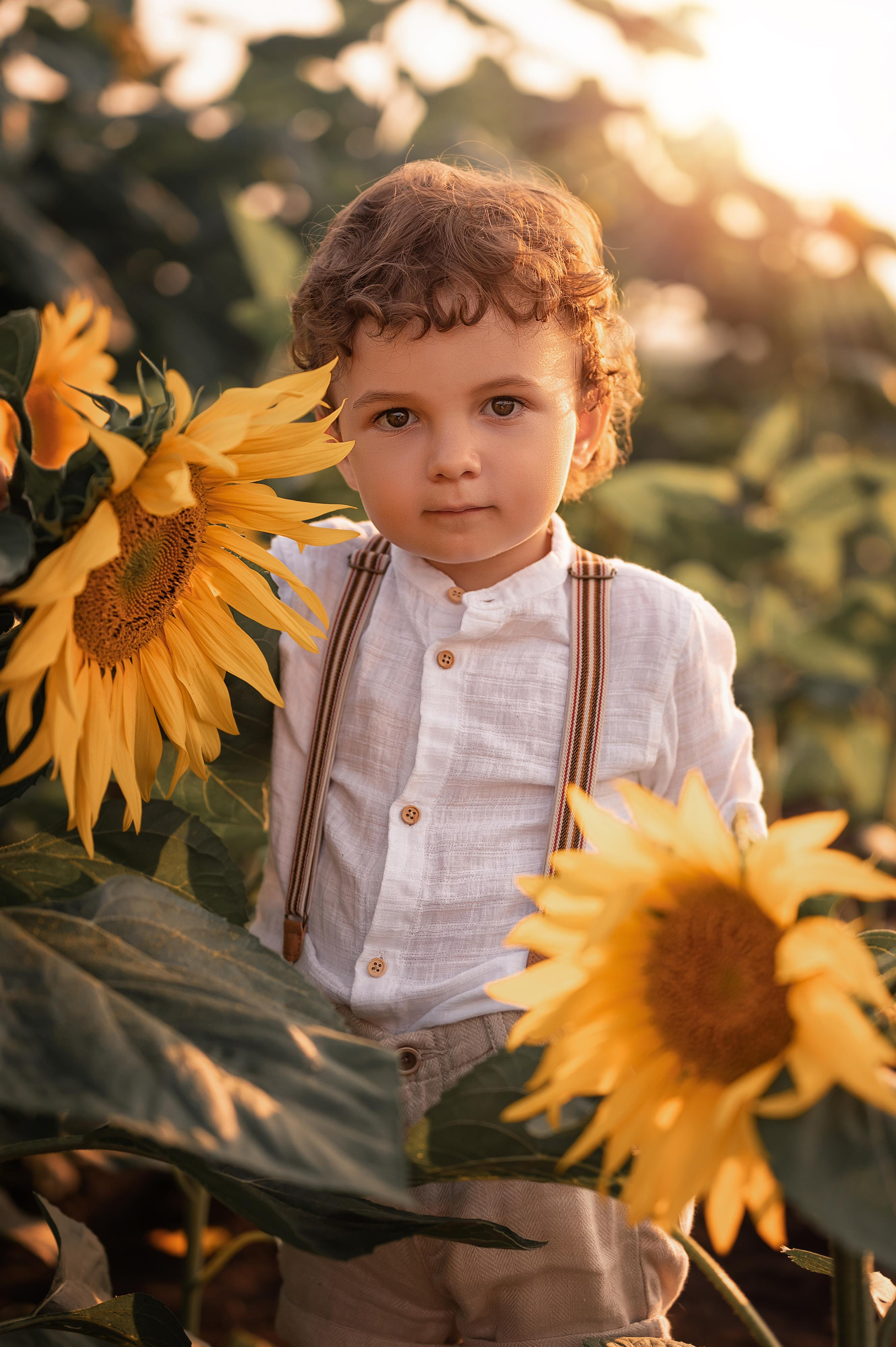 Подсолнухи. Фотограф Юлия Павлова Красноярск