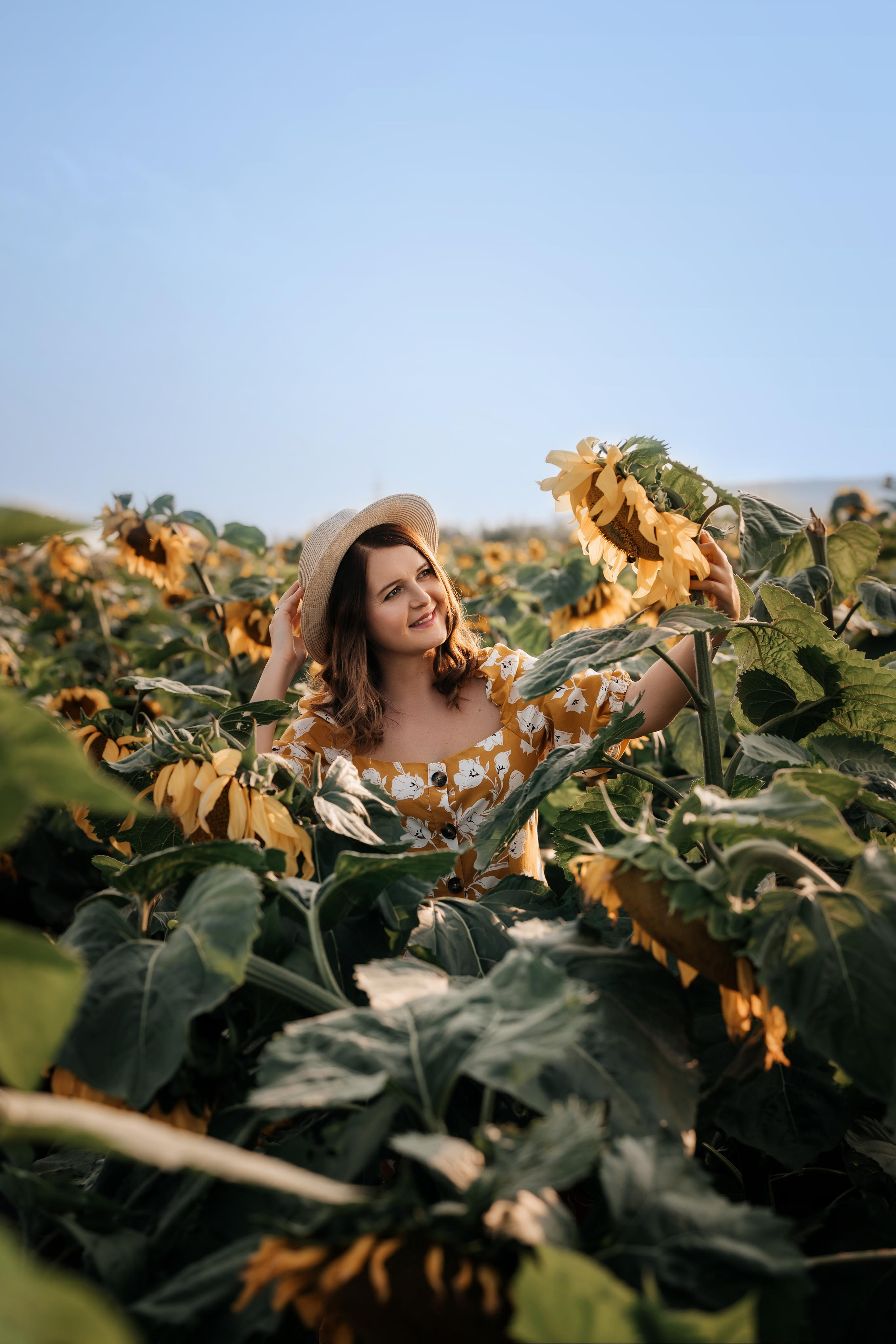 Подсолнухи. Фотограф Юлия Павлова Красноярск