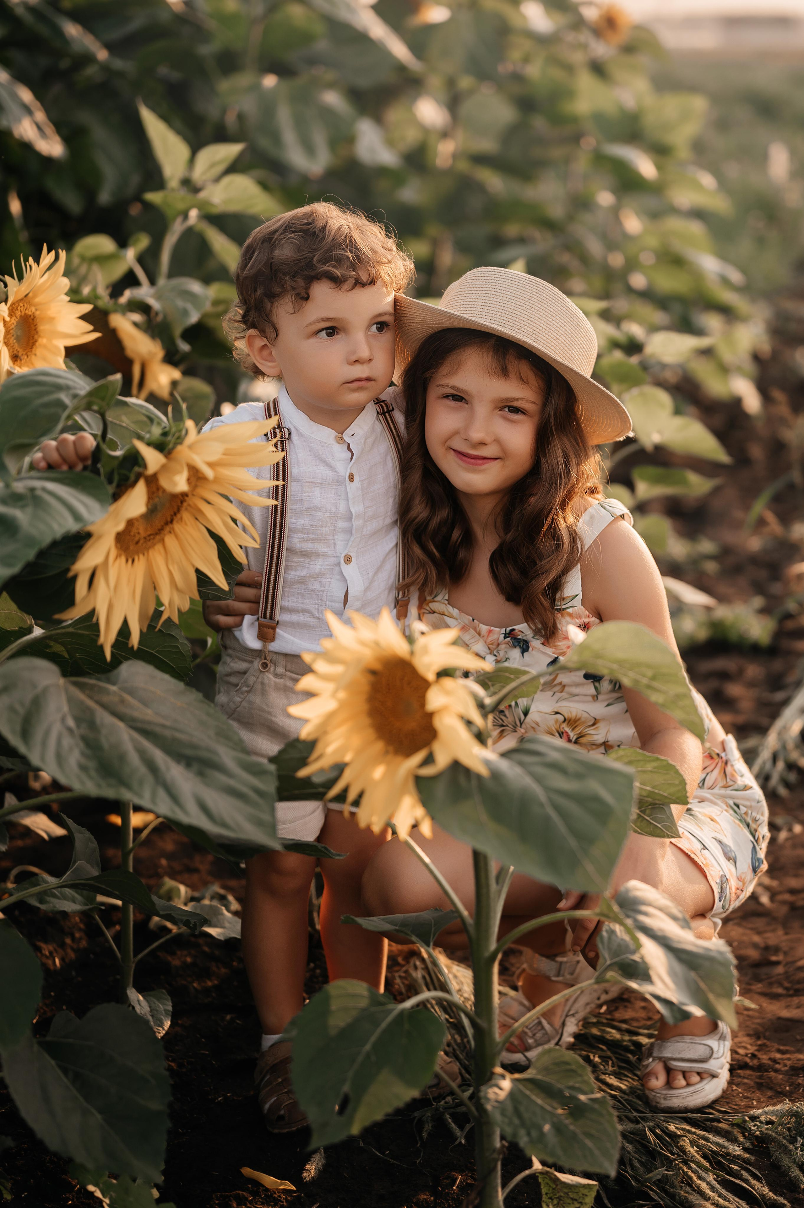 Подсолнухи. Фотограф Юлия Павлова Красноярск