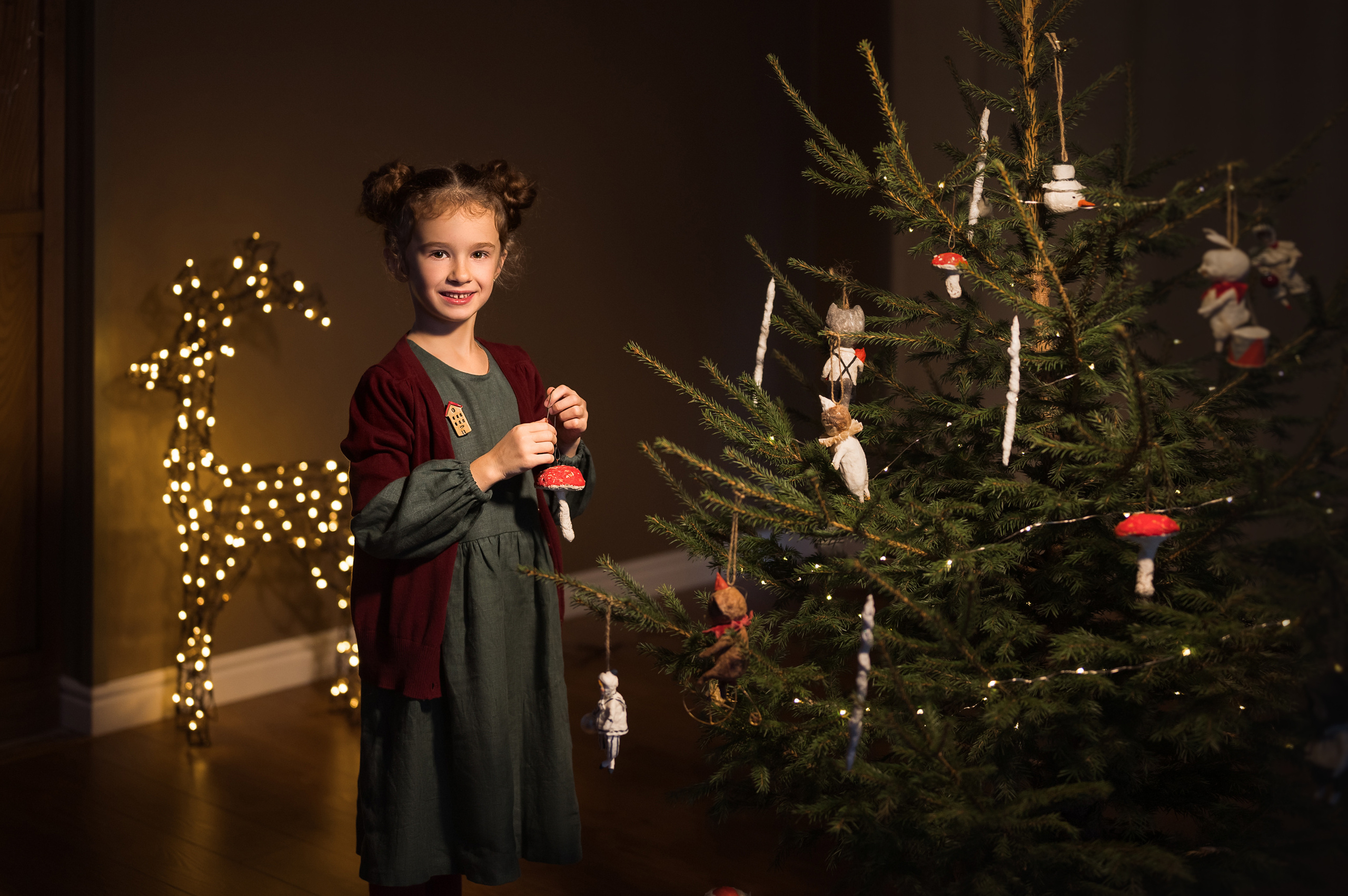 Волшебство Рождества. Фотограф Юлия Павлова Красноярск