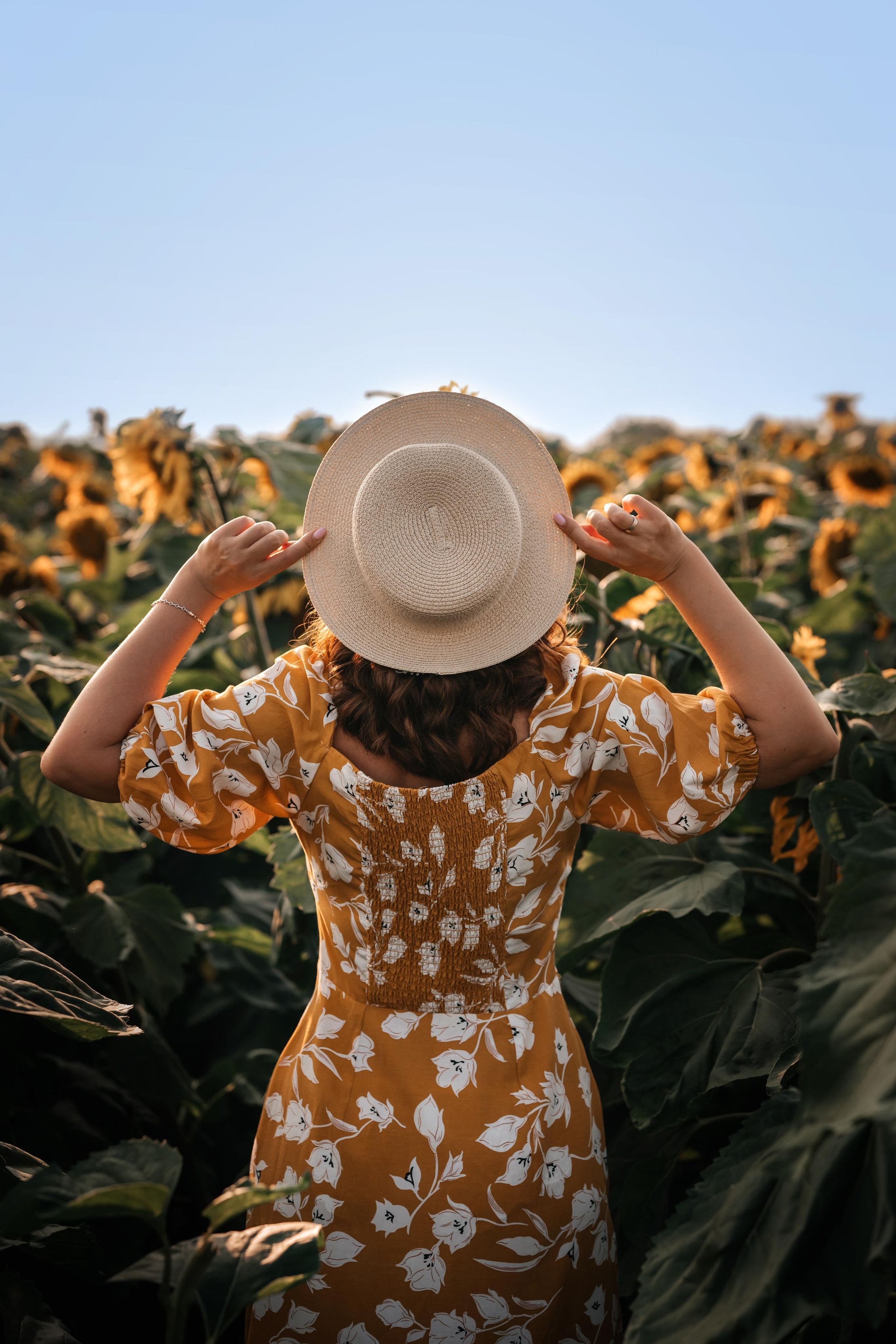 Подсолнухи. Фотограф Юлия Павлова Красноярск