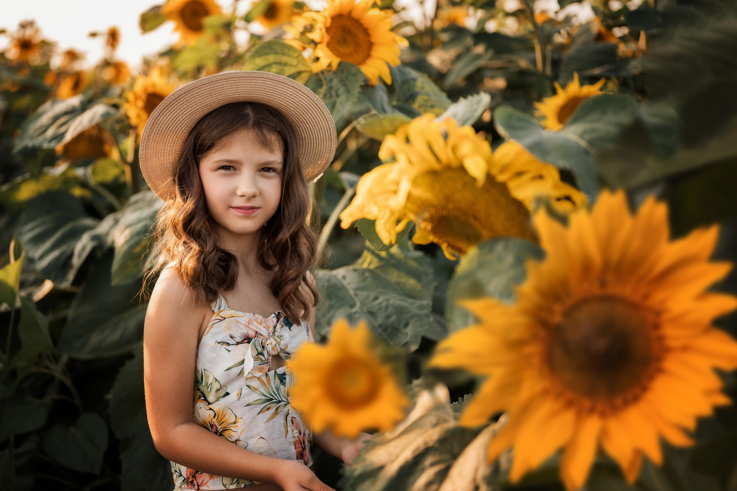 Подсолнухи. Фотограф Юлия Павлова Красноярск