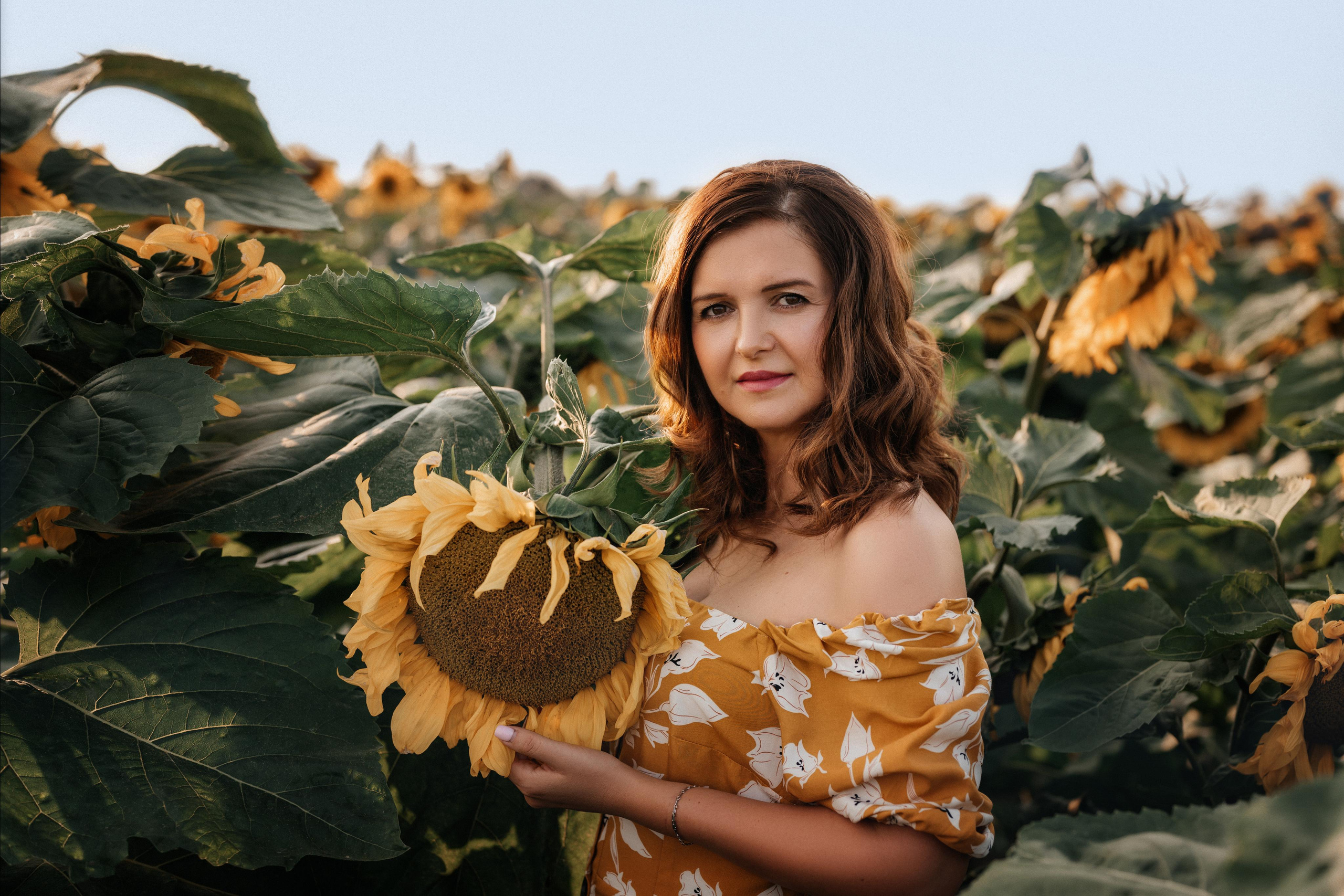 Подсолнухи. Фотограф Юлия Павлова Красноярск