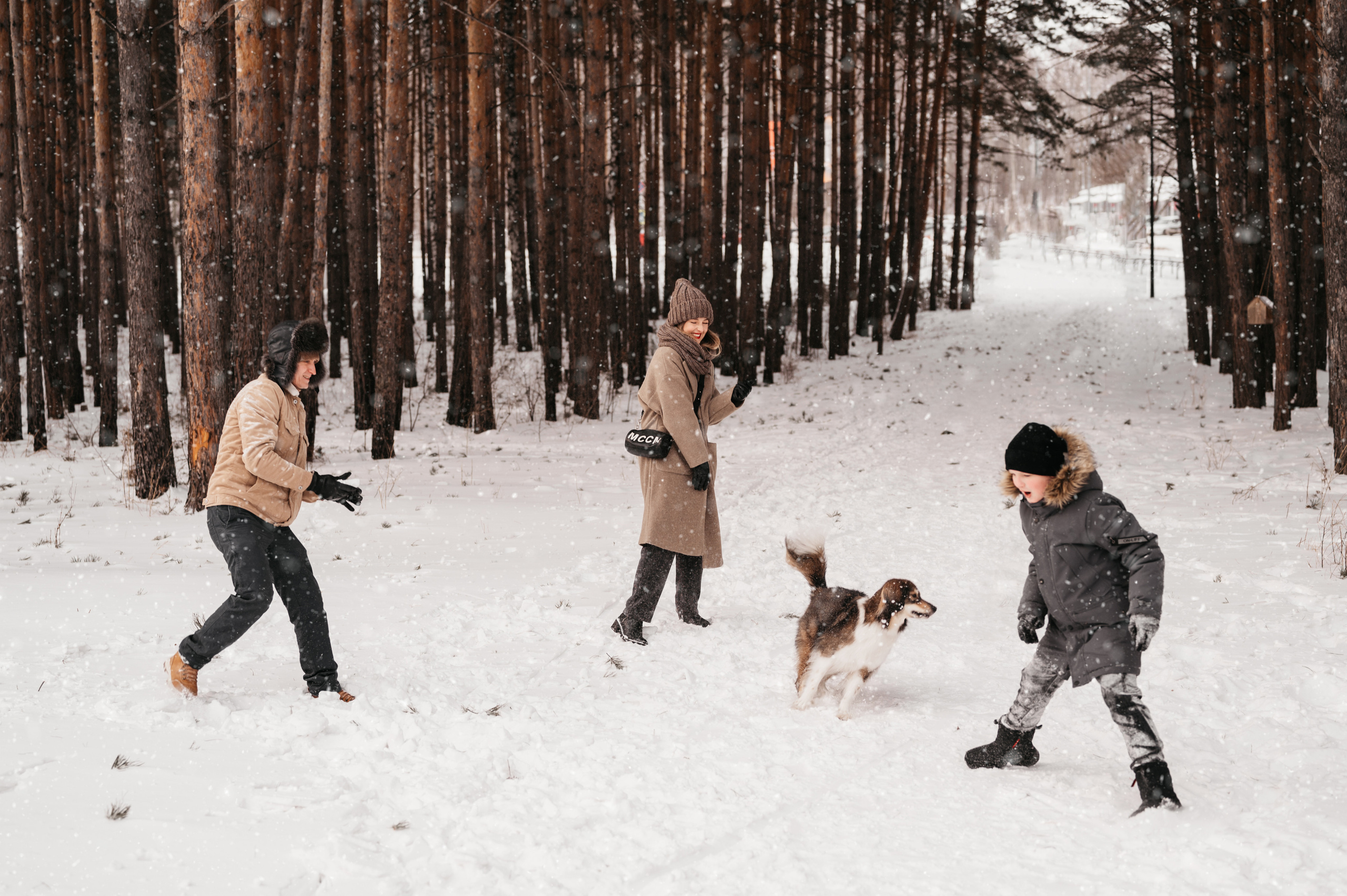 Зимняя прогулка. Фотограф Юлия Павлова Красноярск