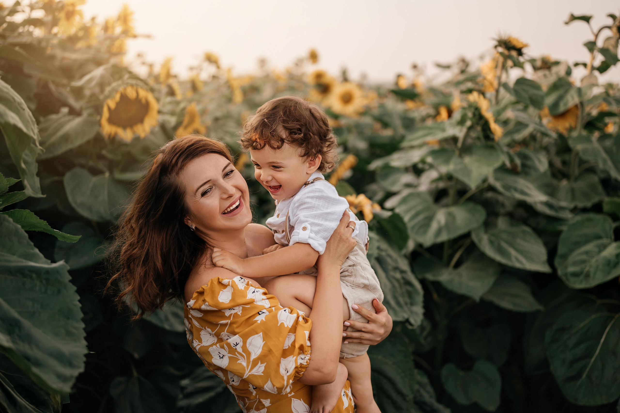 Подсолнухи. Фотограф Юлия Павлова Красноярск