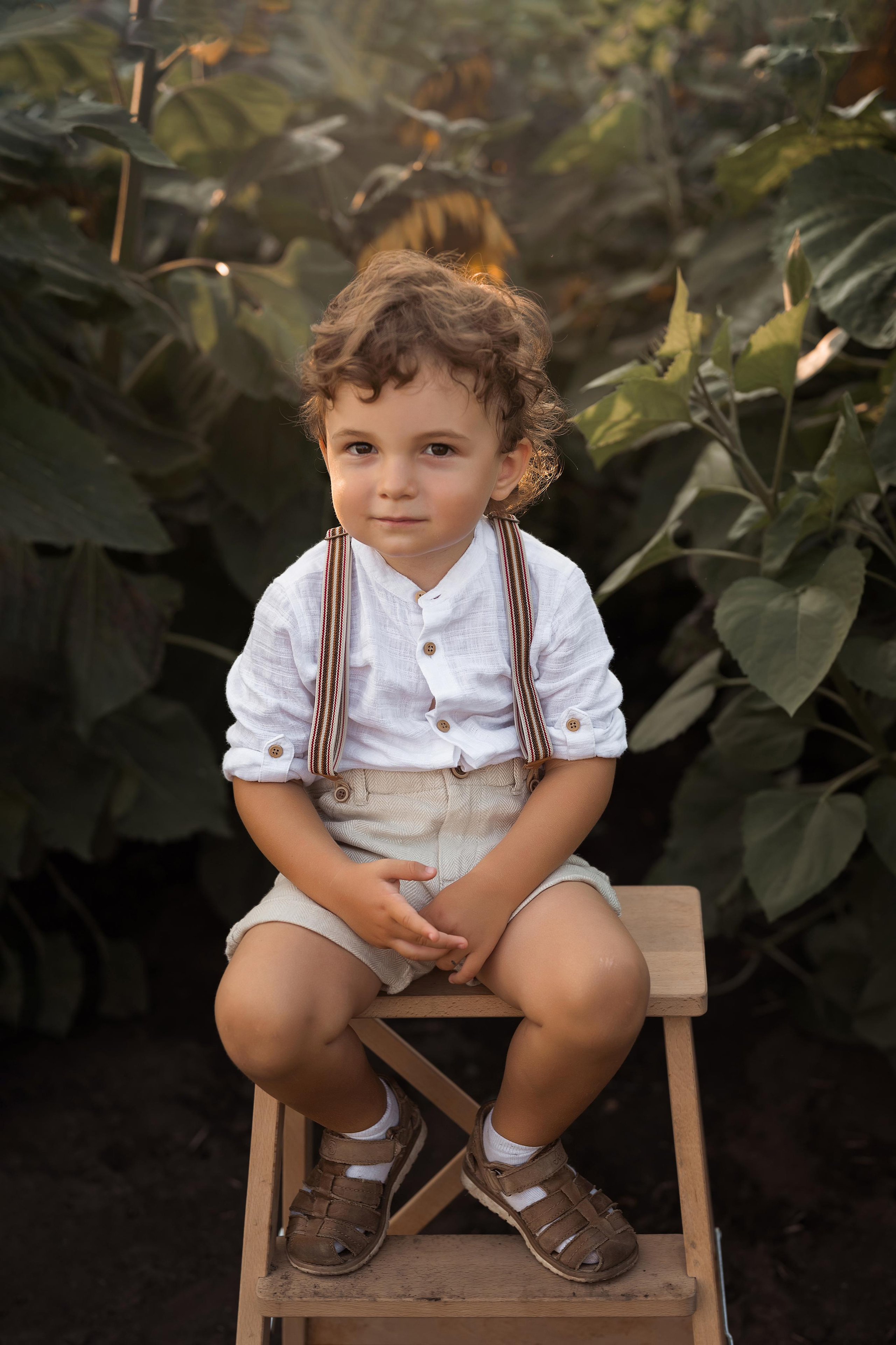 Подсолнухи. Фотограф Юлия Павлова Красноярск