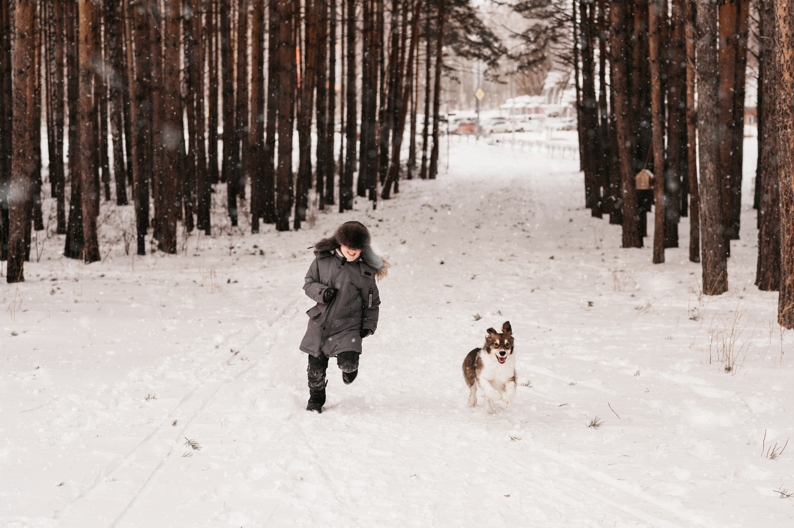 Зимняя прогулка. Фотограф Юлия Павлова Красноярск