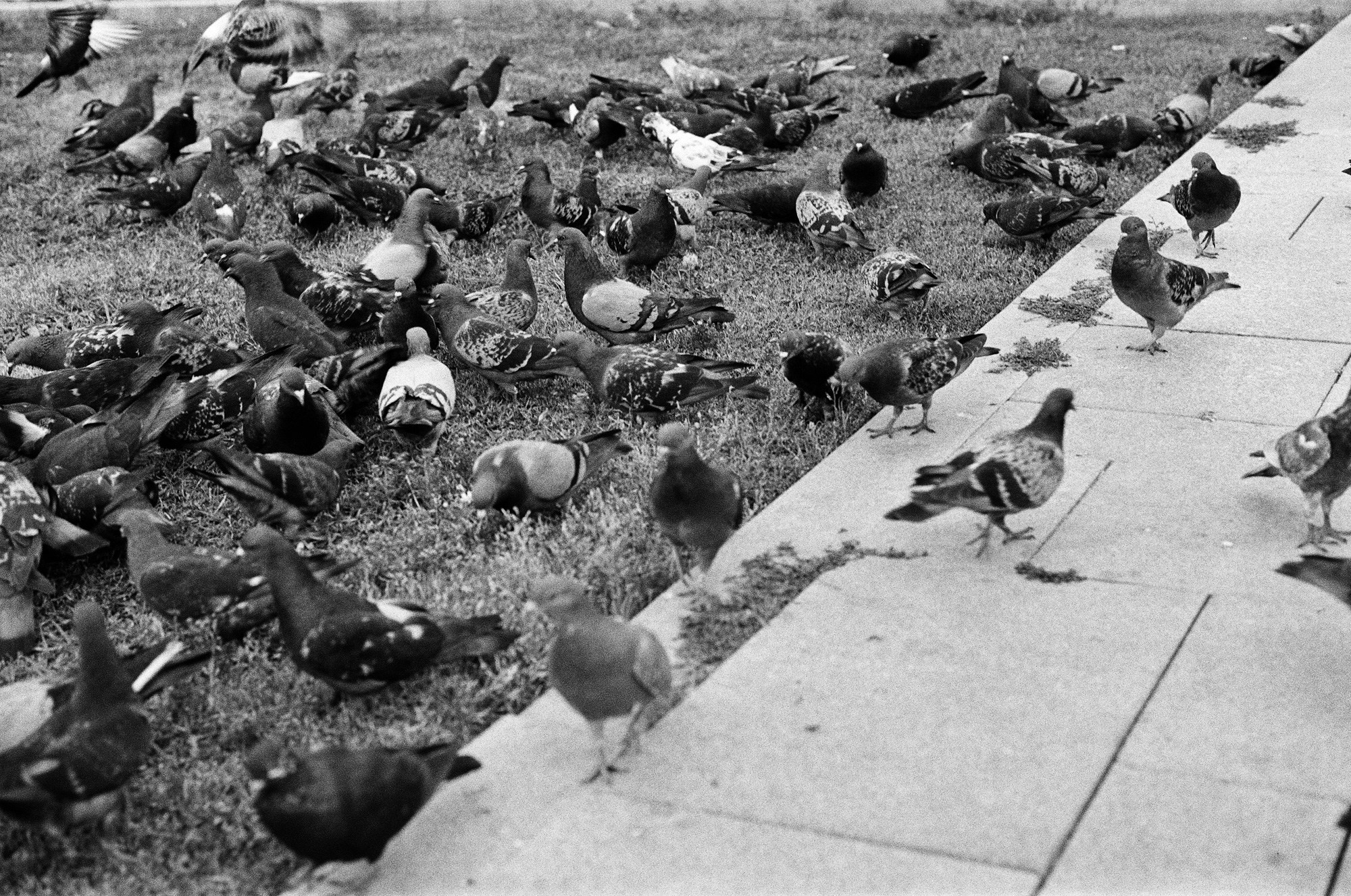 Нескучный сад и Остоженка. Другой Павел Поцелуев. Фотограф в 2025 году