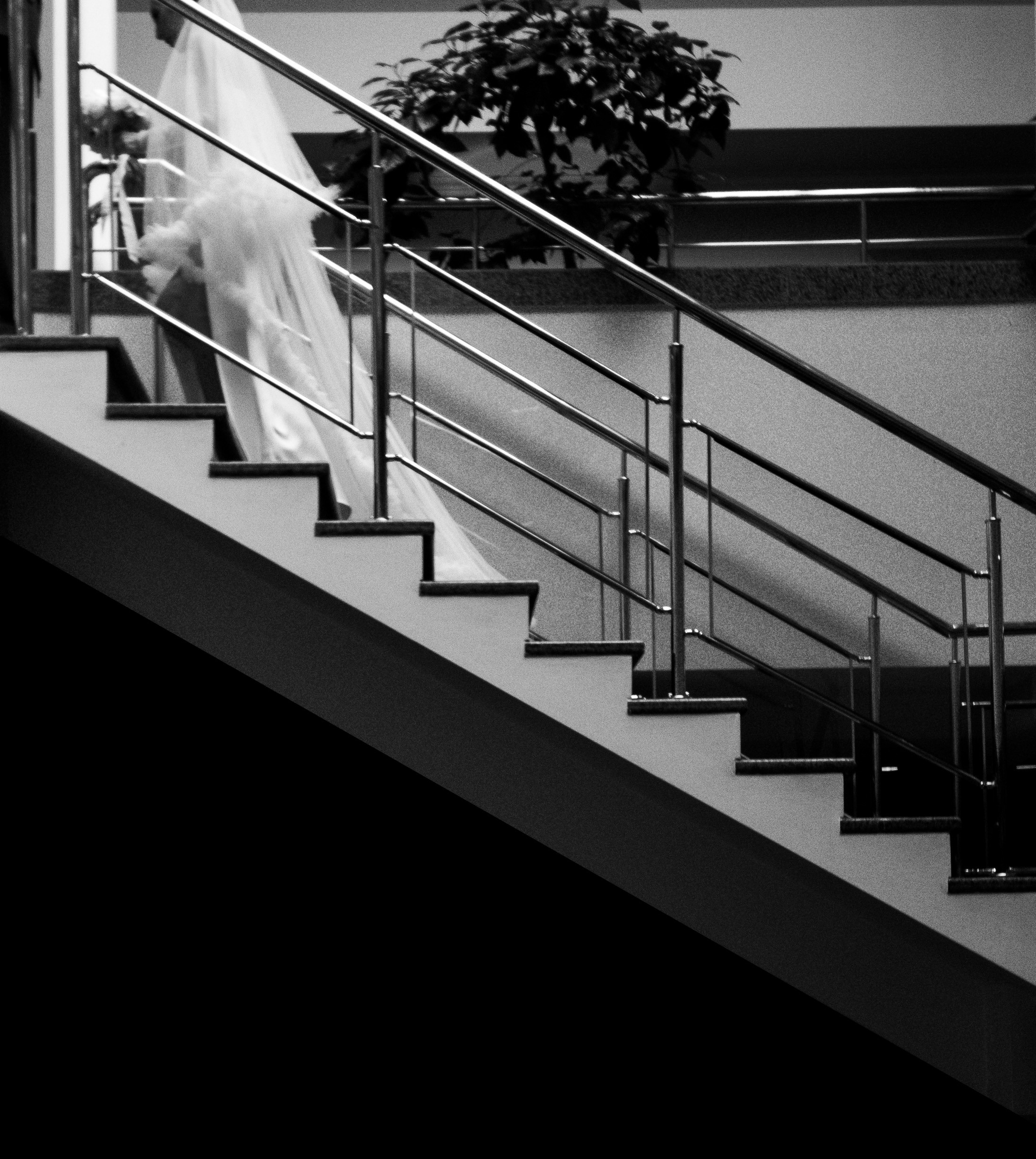 Свадебный фотограф в Санкт-Петербурге. Свадебный и портретный фотограф