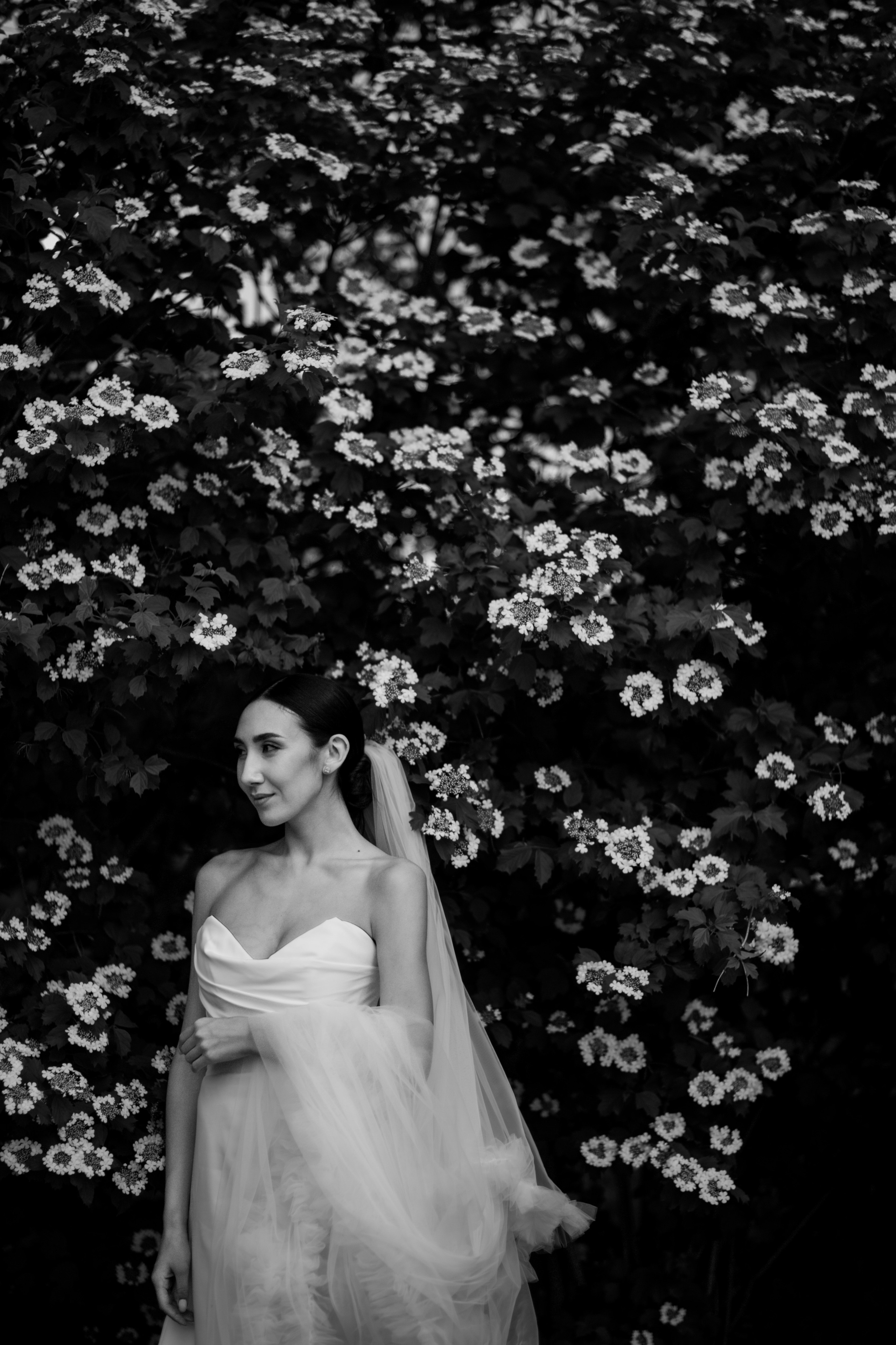 Свадебный фотограф в Санкт-Петербурге. Свадебный и портретный фотограф