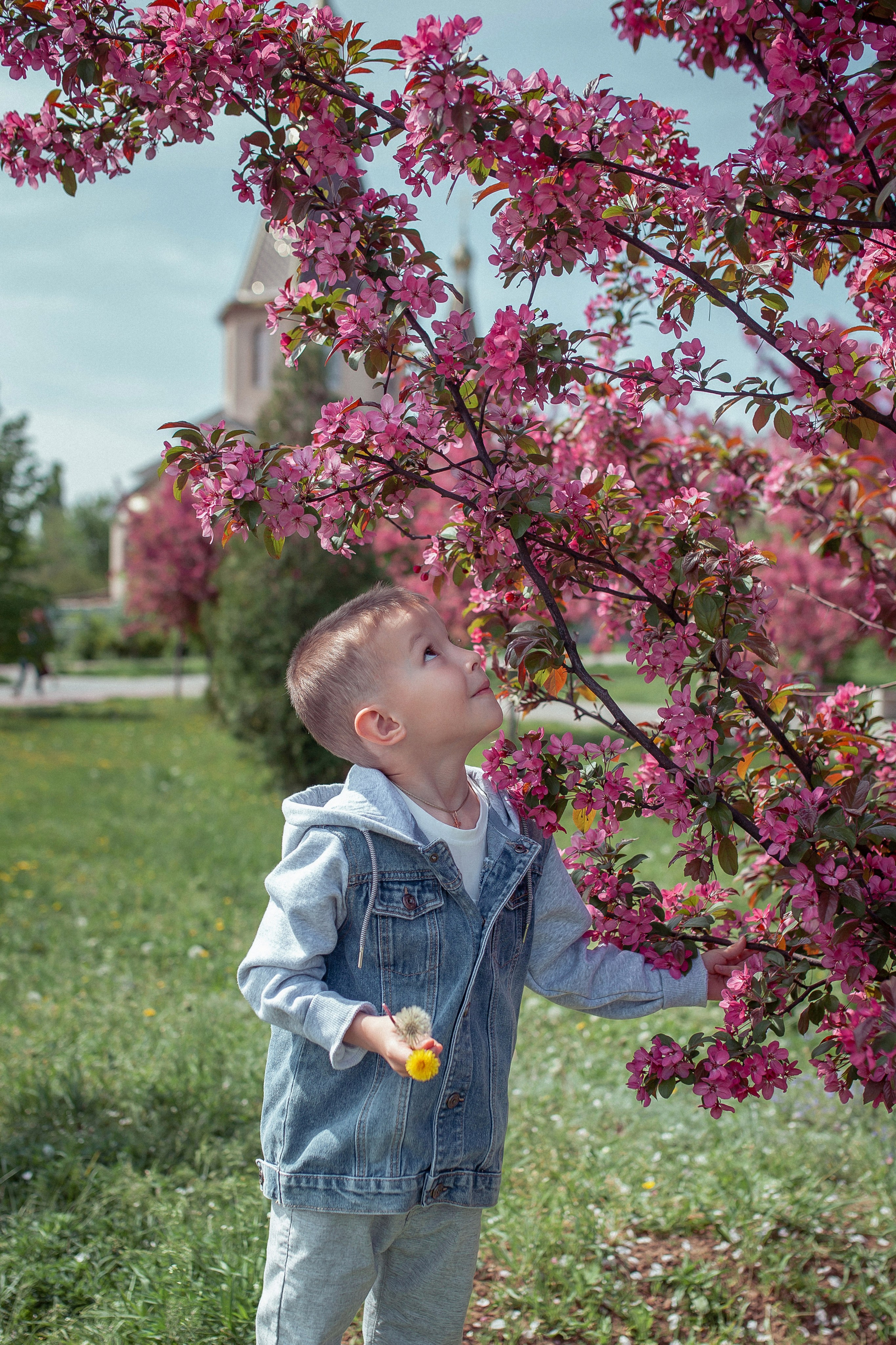 Семья Марии и Антона в весеннем цветении. Фотограф в Волгограде Норченко Светлана