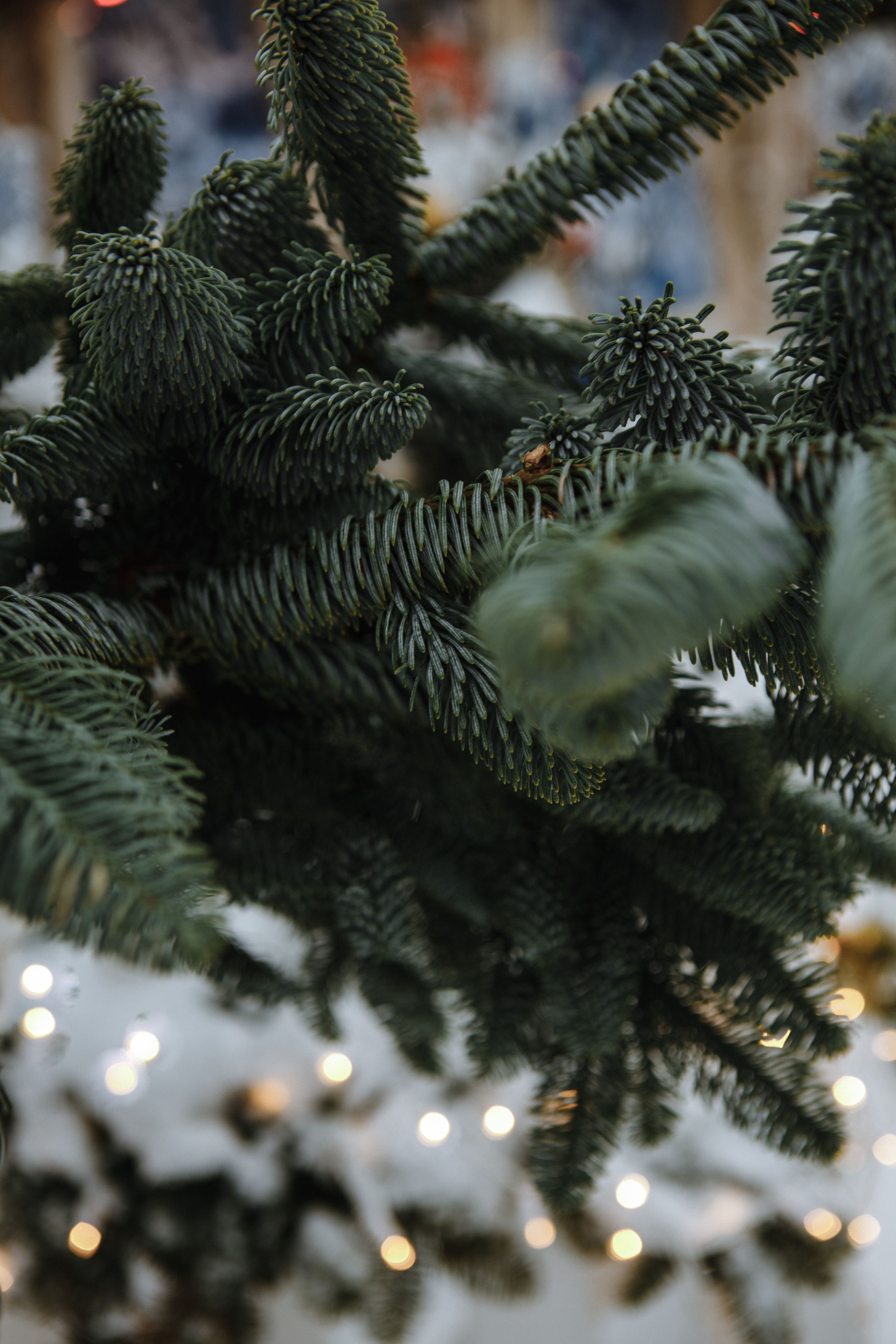 Новогодняя. Свадебный и семейный фотограф Чижова Алина