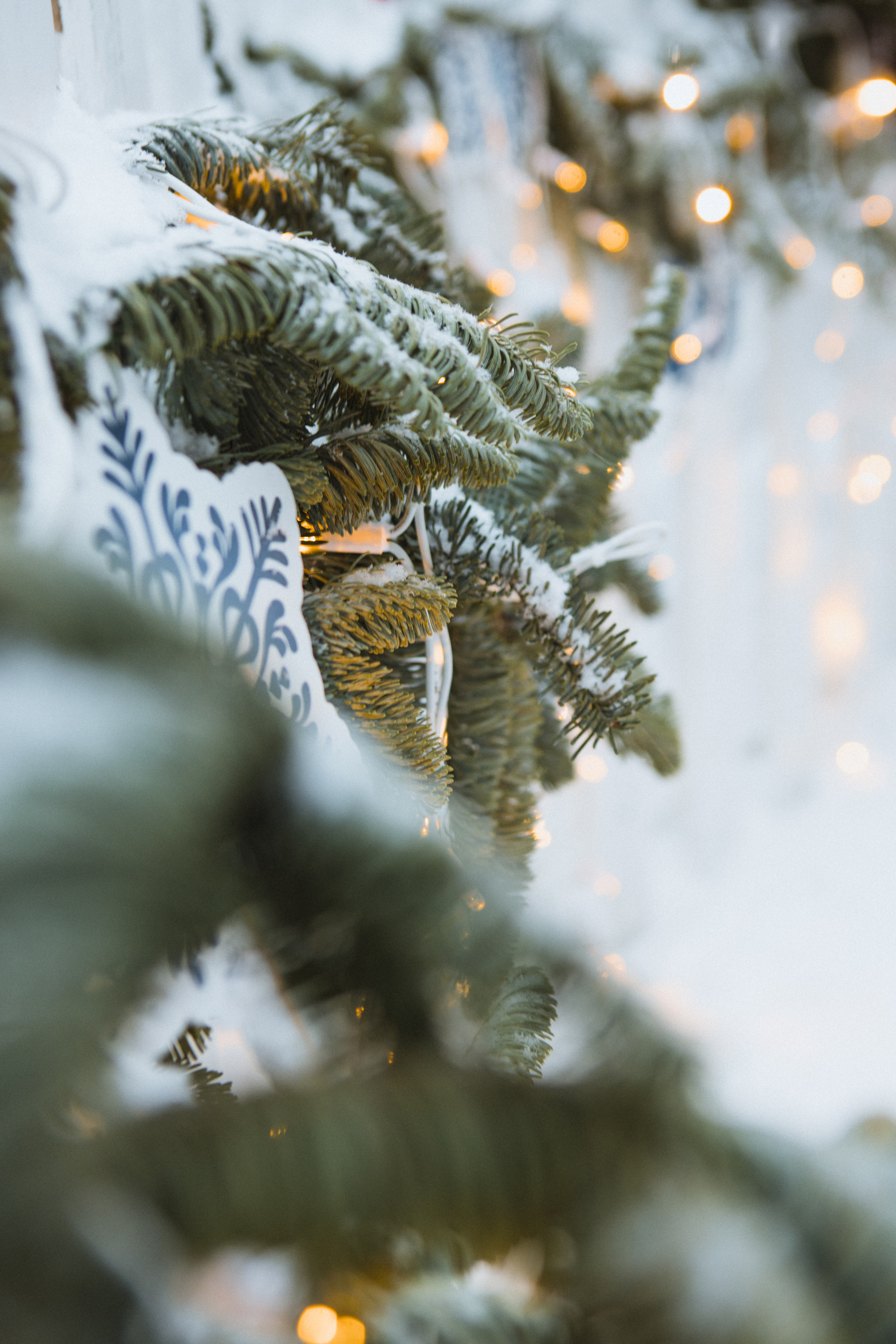 Новогодняя. Свадебный и семейный фотограф Чижова Алина