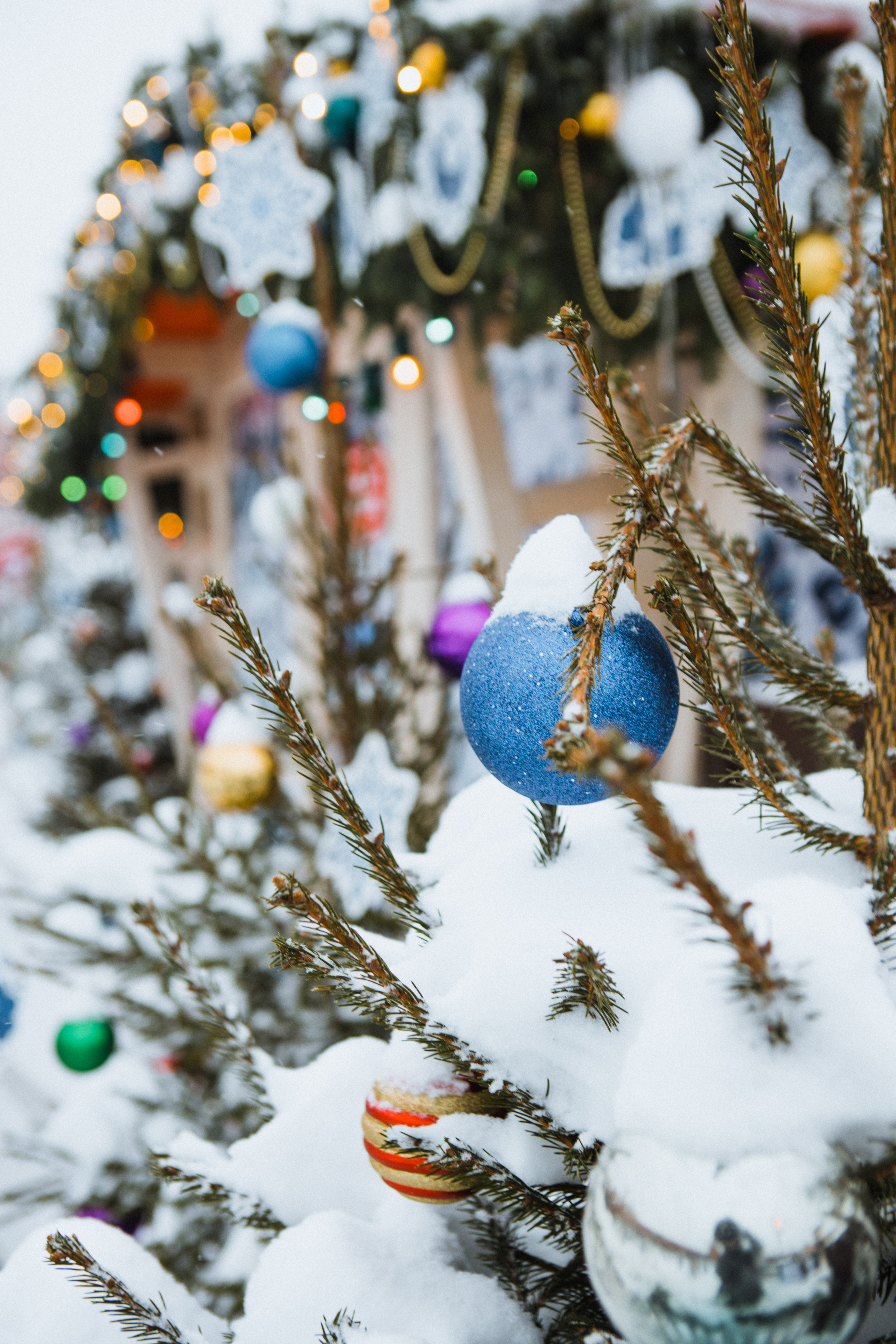 Новогодняя. Свадебный и семейный фотограф Чижова Алина
