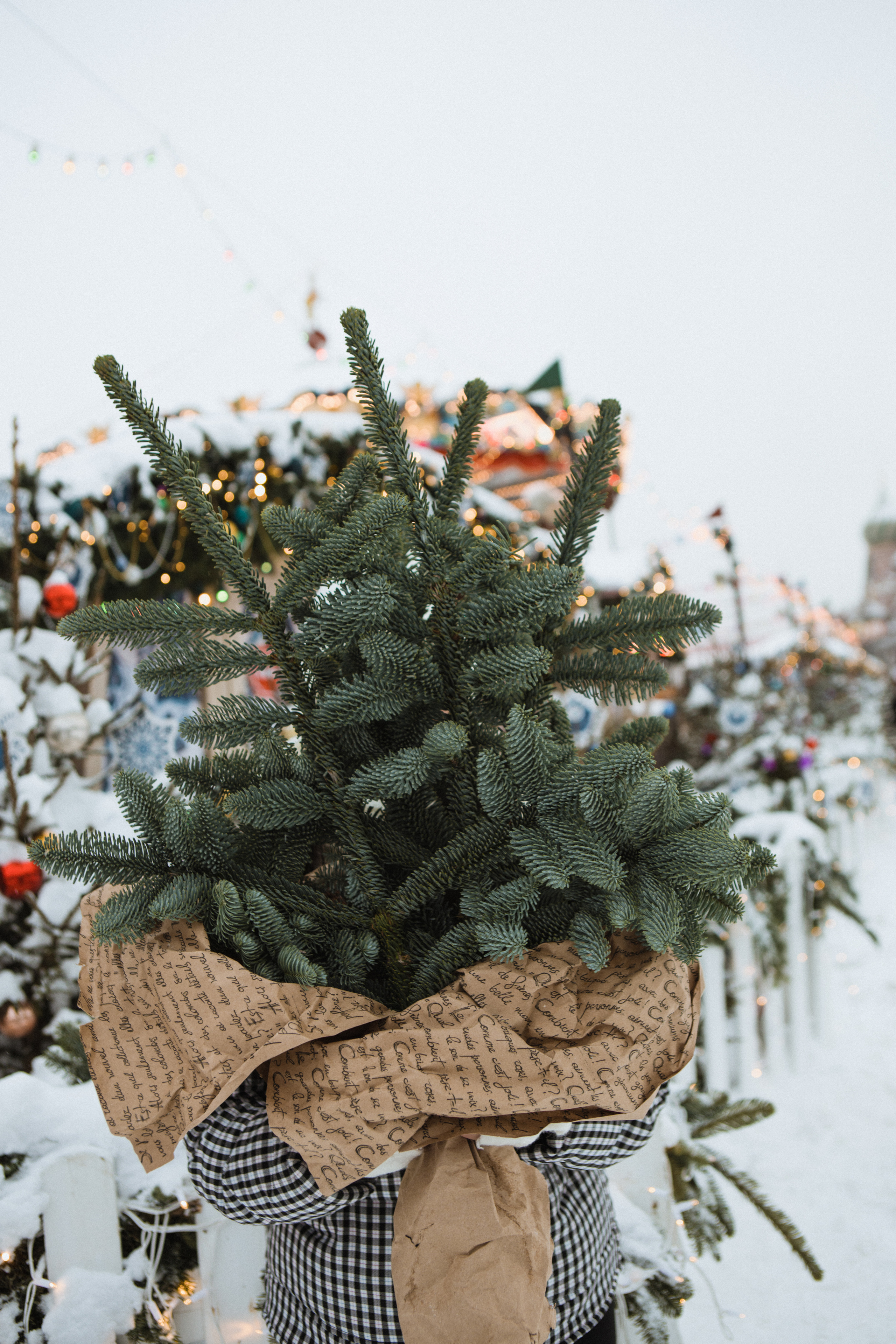 Новогодняя. Свадебный и семейный фотограф Чижова Алина