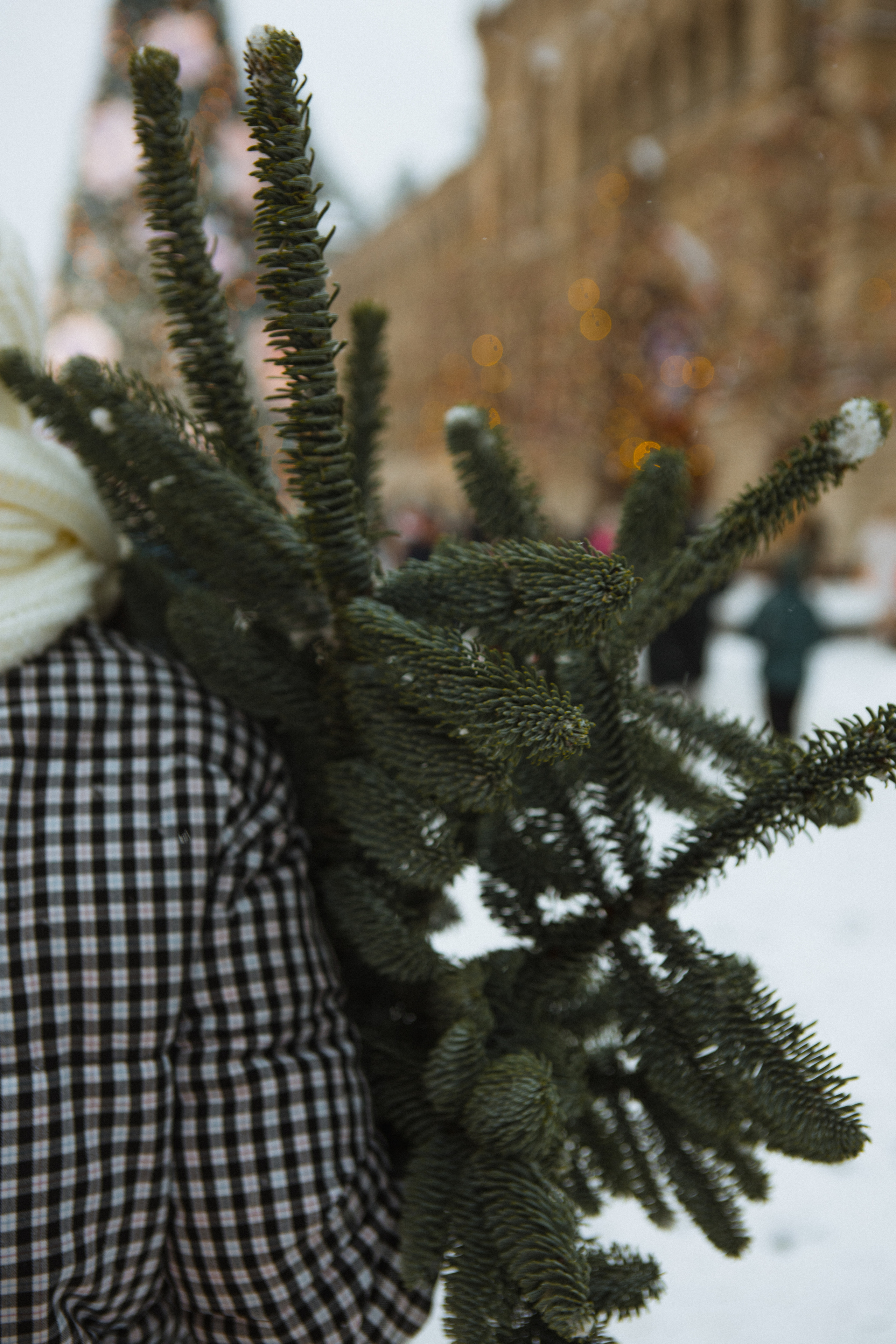 Новогодняя. Свадебный и семейный фотограф Чижова Алина
