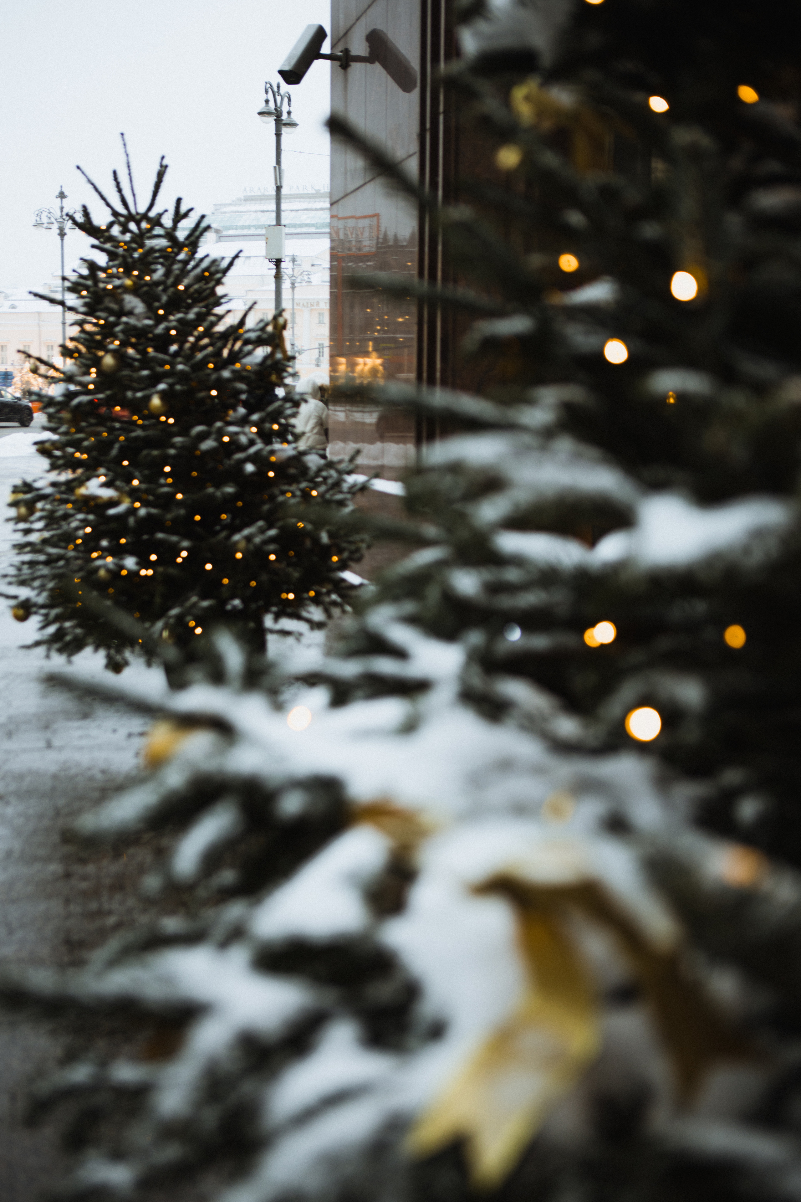 Новогодняя. Свадебный и семейный фотограф Чижова Алина