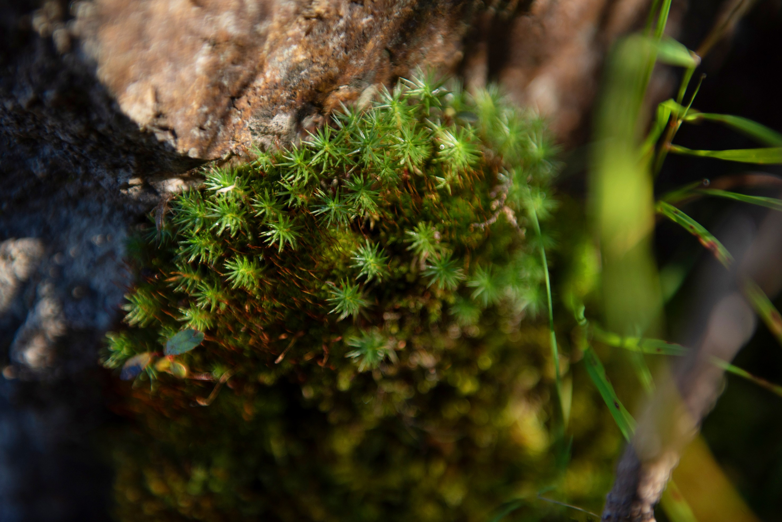 Природа Хабаровского края. Команда фотографов Кристины Ивановой