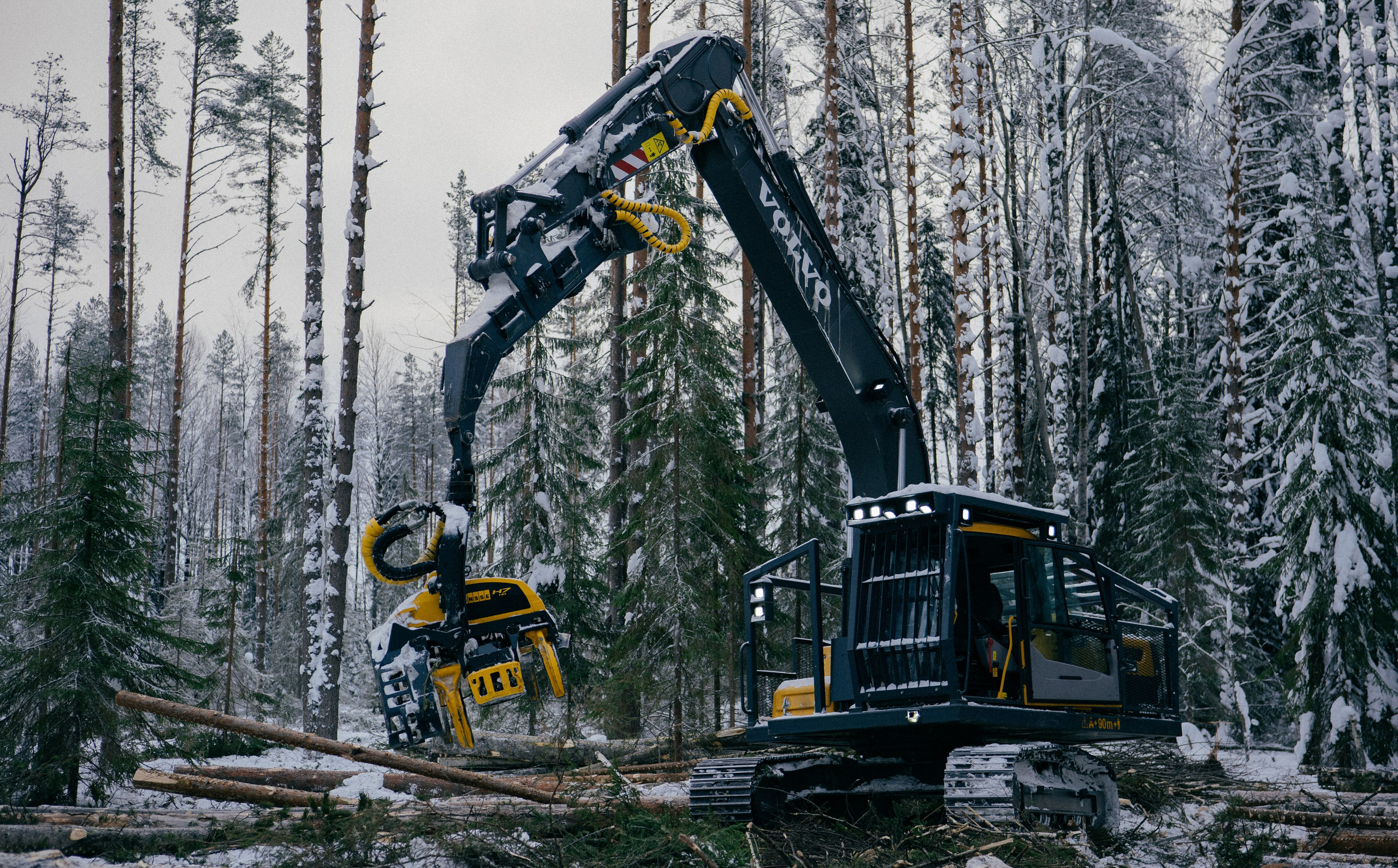 АРХАНГЕЛЬСК. Создание контента | Фото | Видеосъемка | Александр Ярков