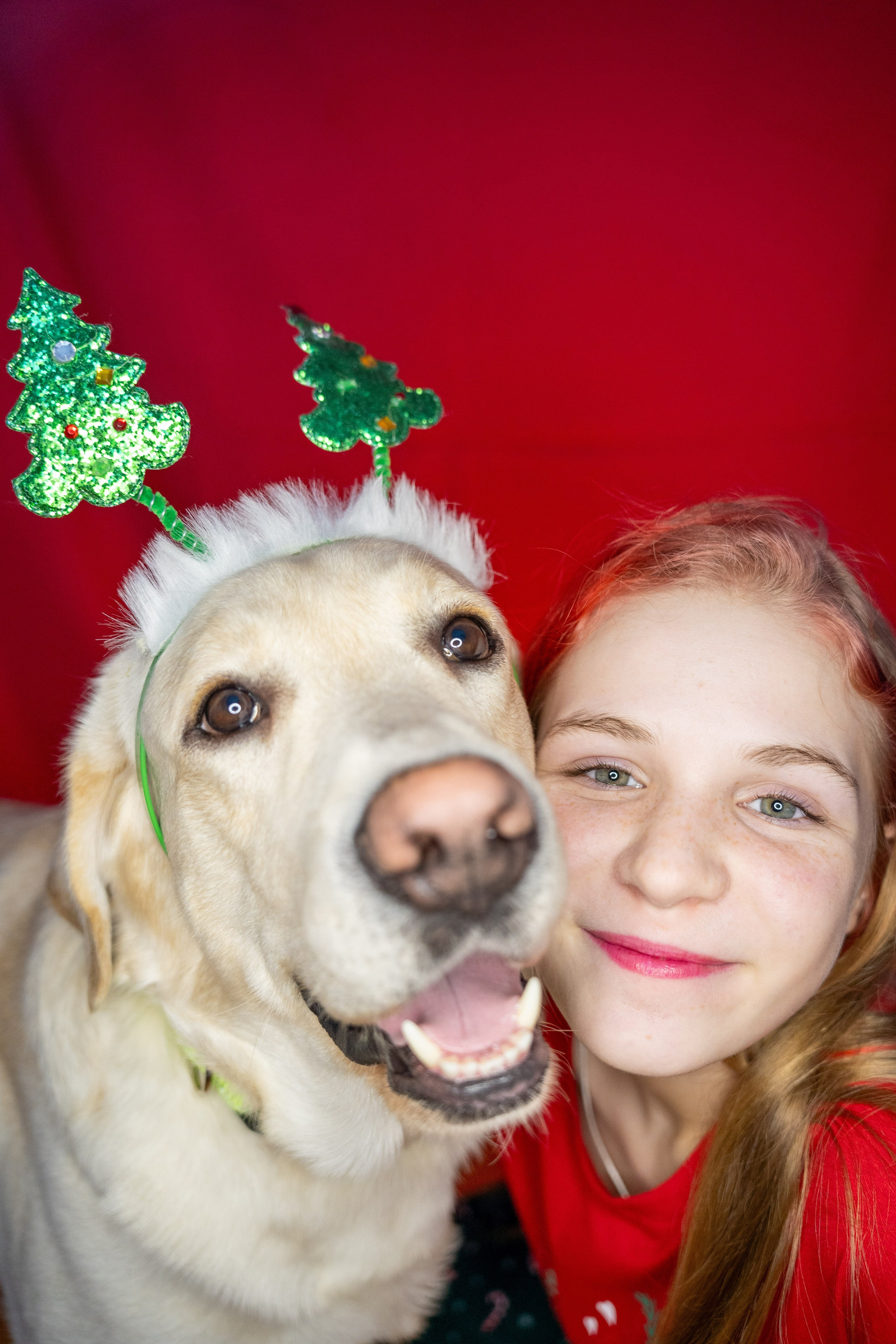Портреты. Детский и семейный фотограф в Краснознаменске Гостеева Екатерина