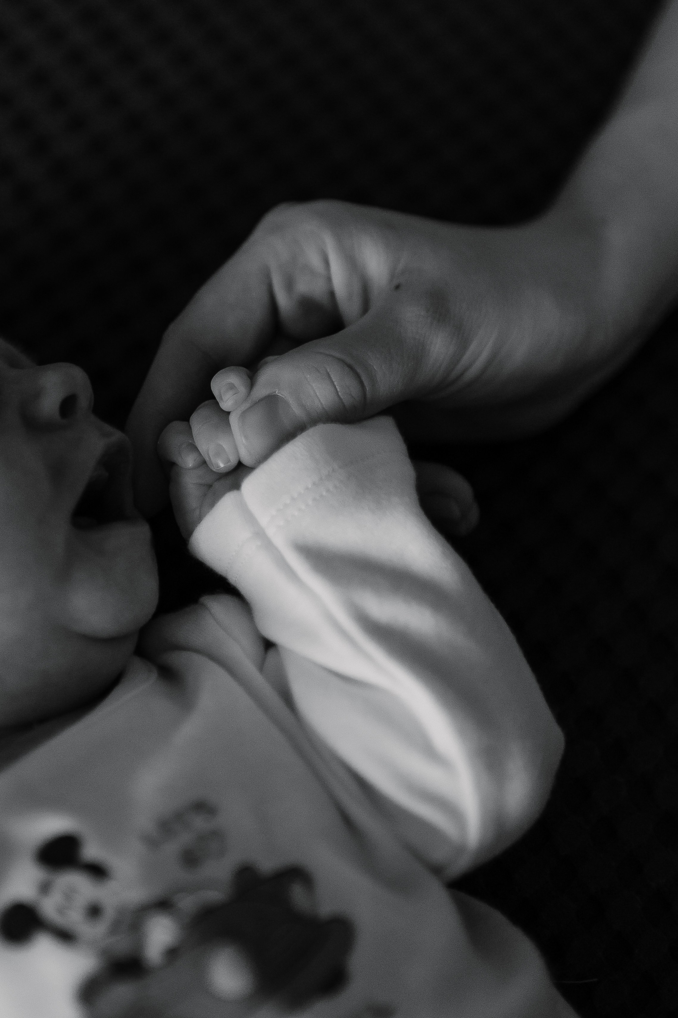 Вышегородцевы. Семейный и детский фотограф в Челябинске Елена Вышегородцева