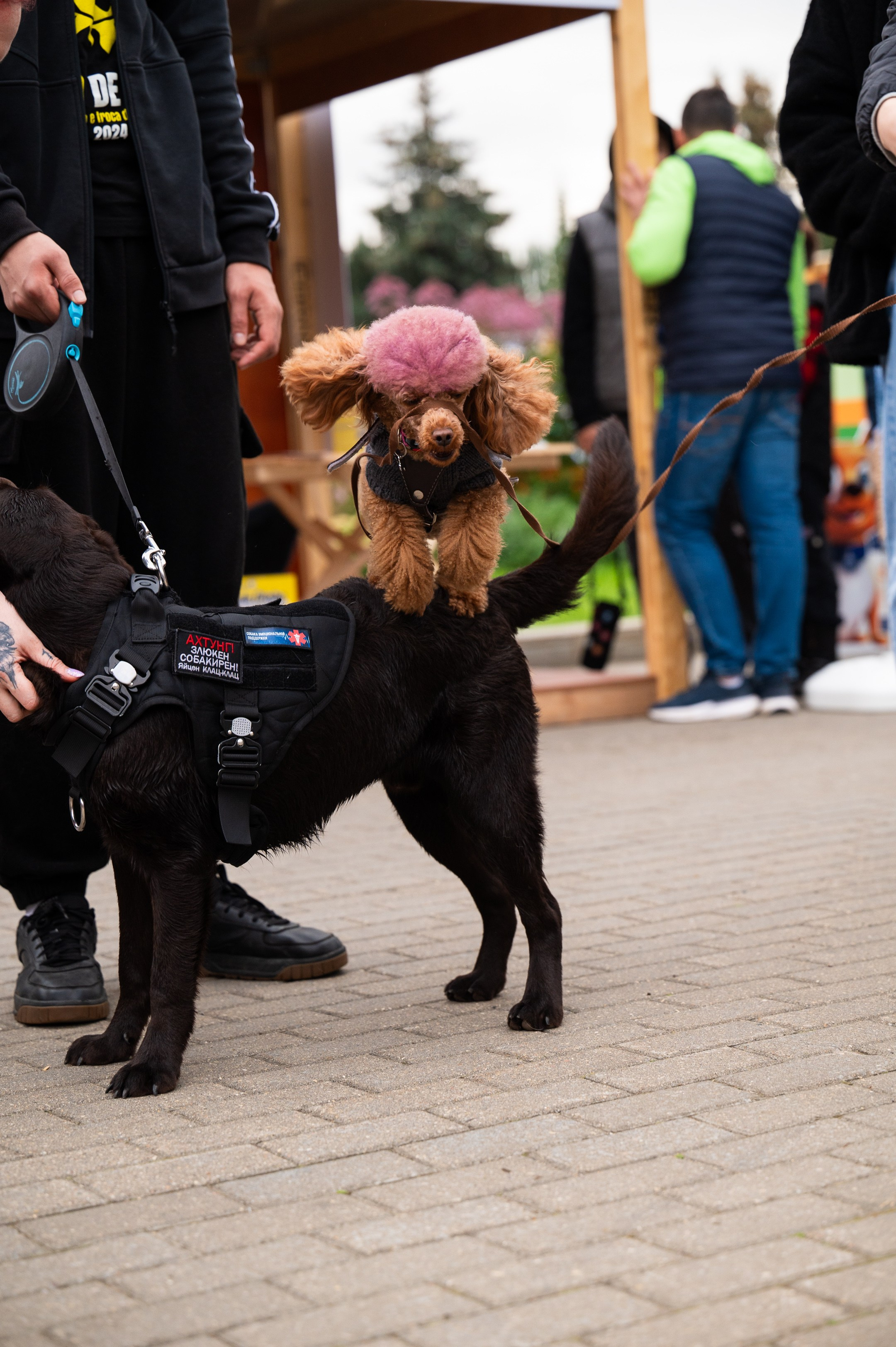 Reportage. Фотограф в Москве Анна Чистякова