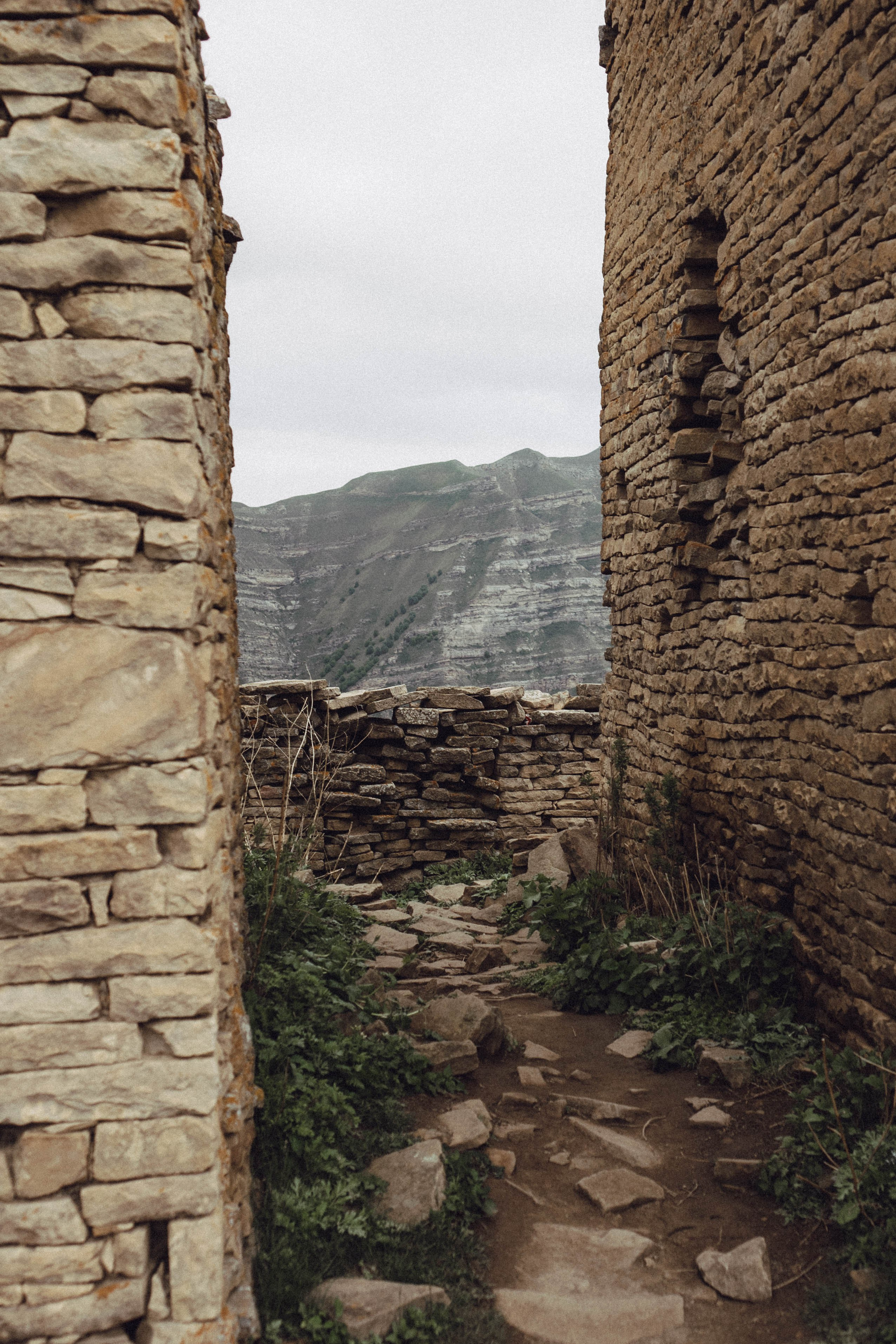 Кавказ. Профессиональный фотограф, Санкт-Петербург — Виктория Богомолова