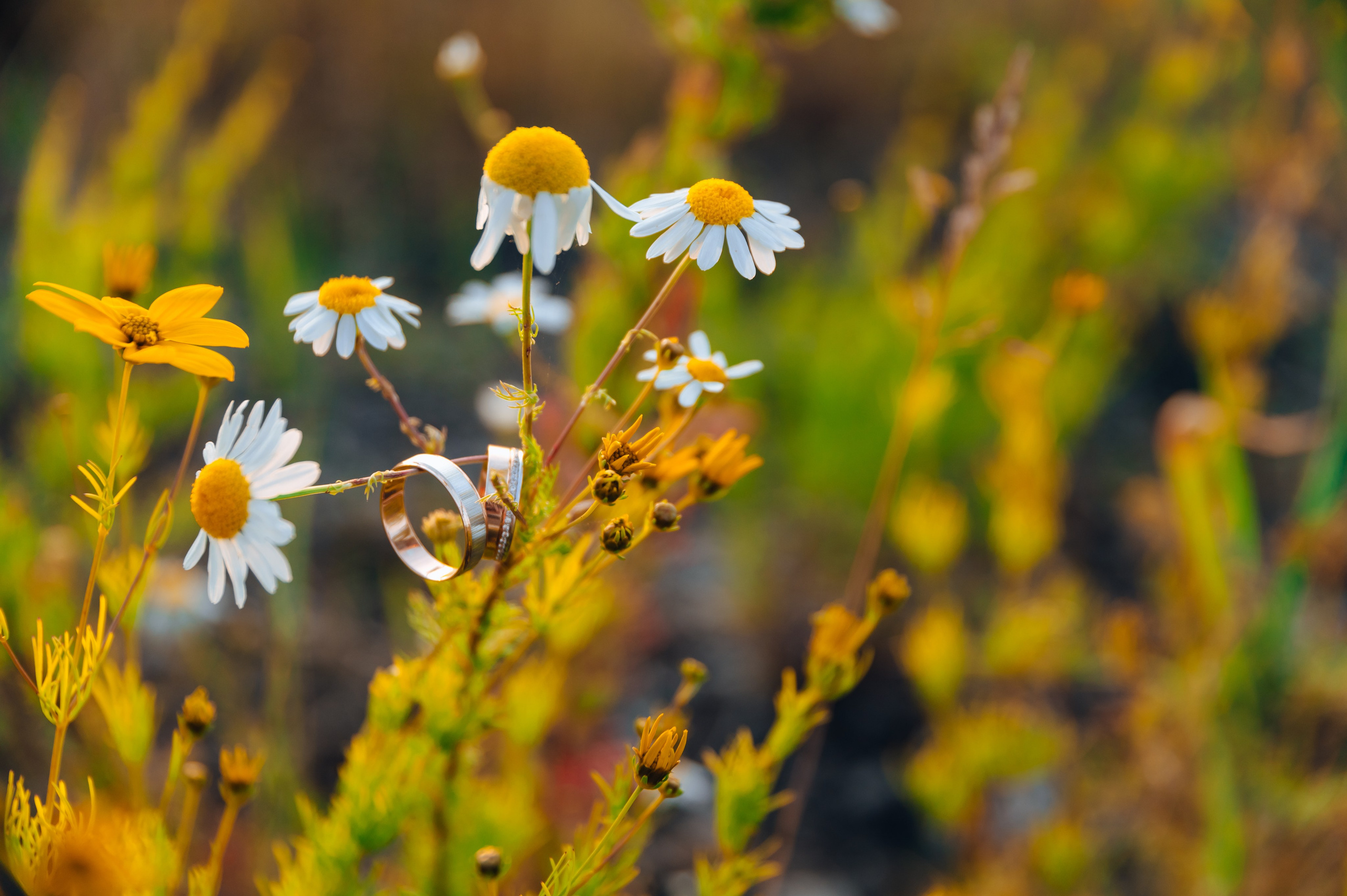 Надя и Женя. Детский и семейный фотограф Катерина Мишина