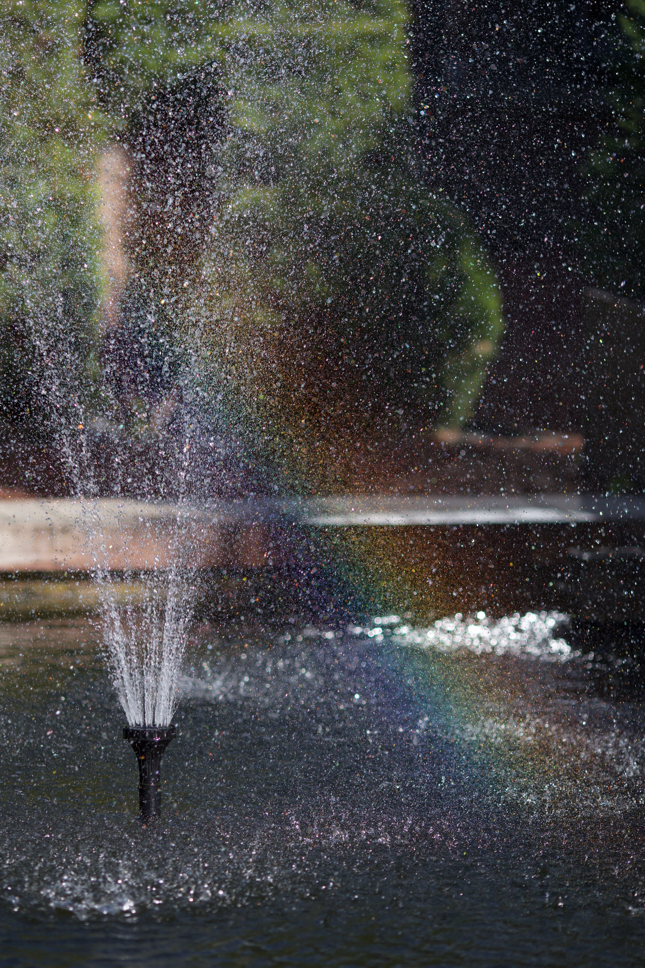 Чудесная природа. Школьные выпускные альбомы в Москве Марина Николаева