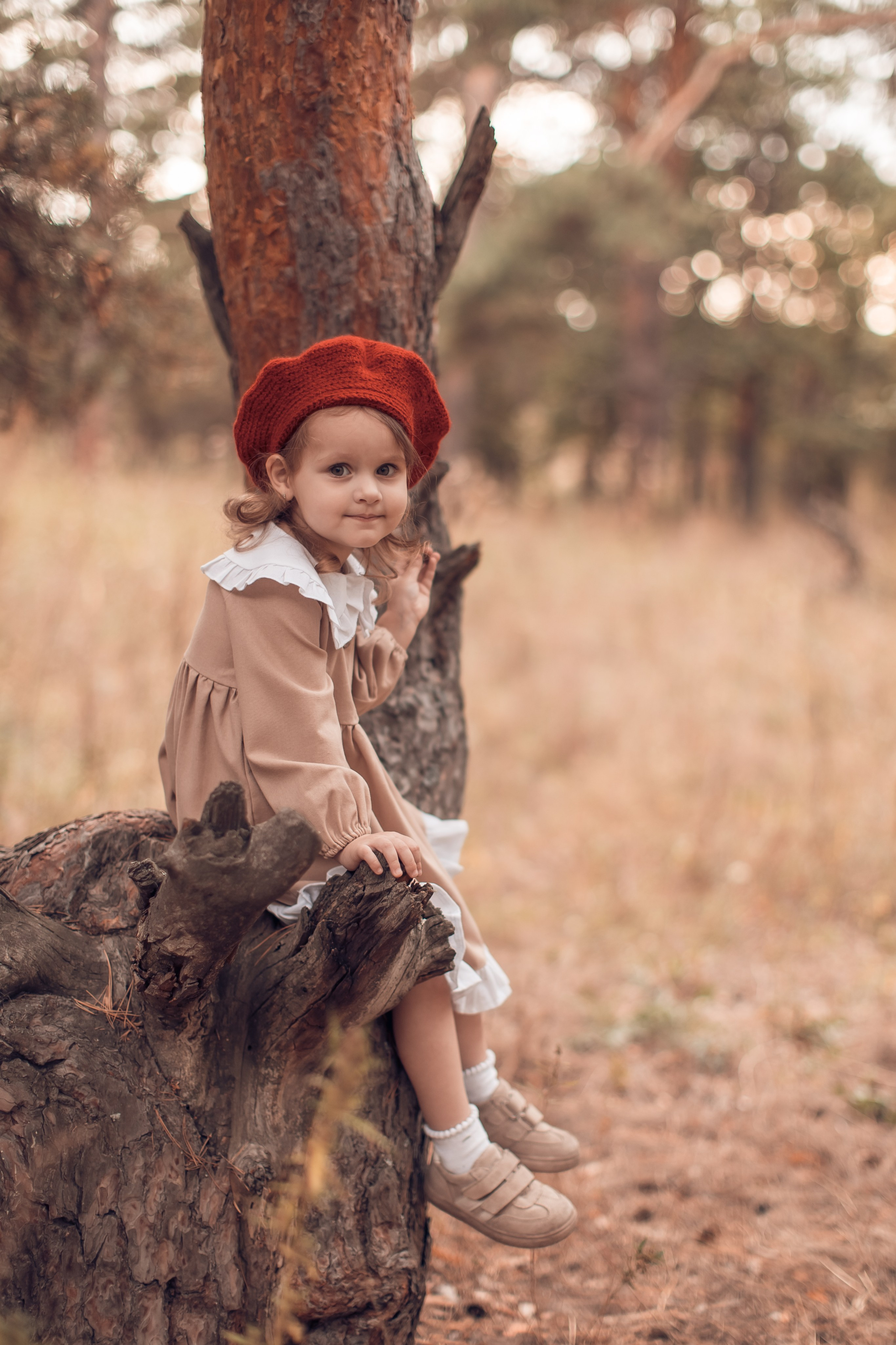 Прогулка в Широком. Главная