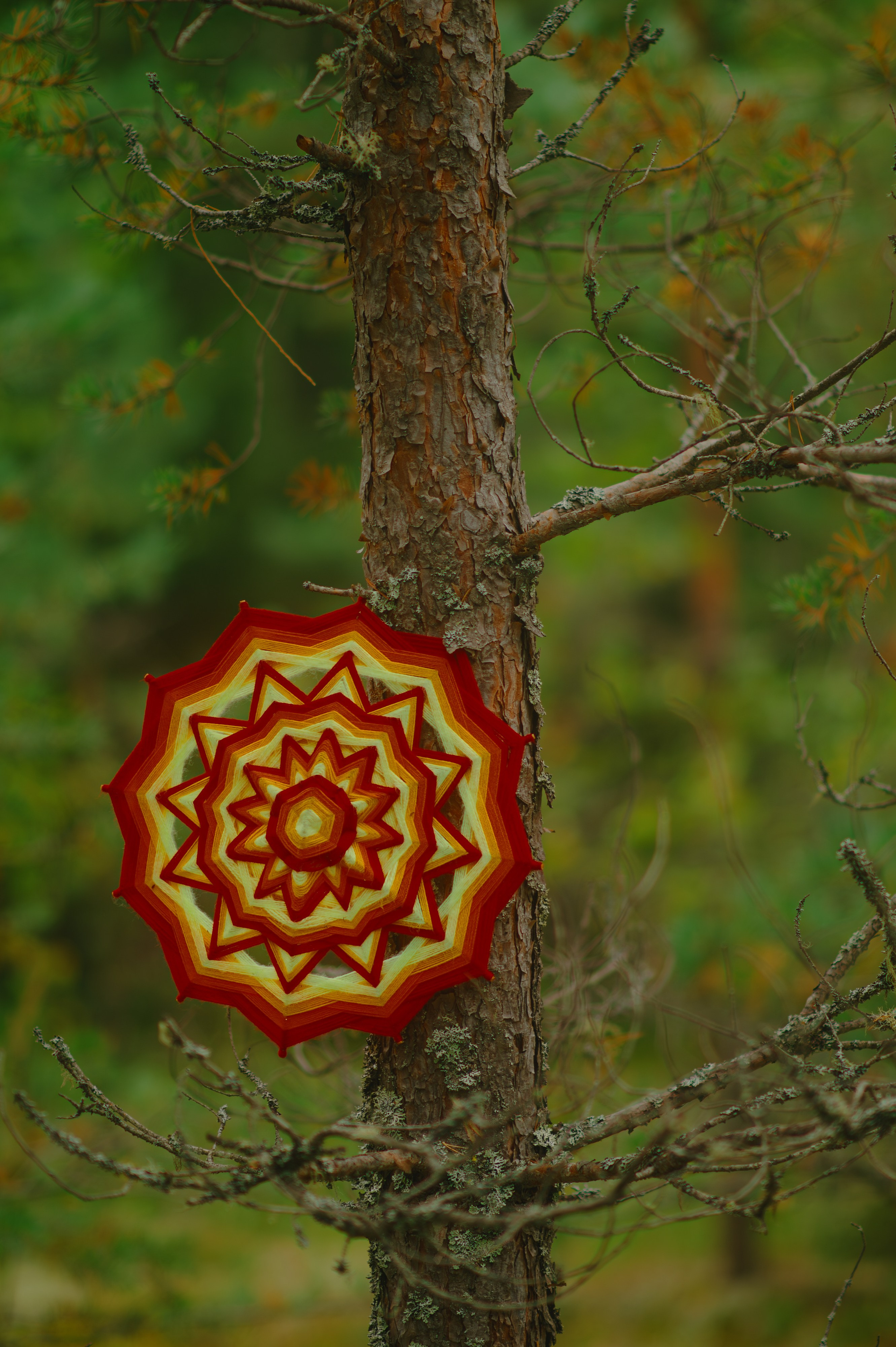 METADREAMS 2025. Контент фотограф Илья Урс