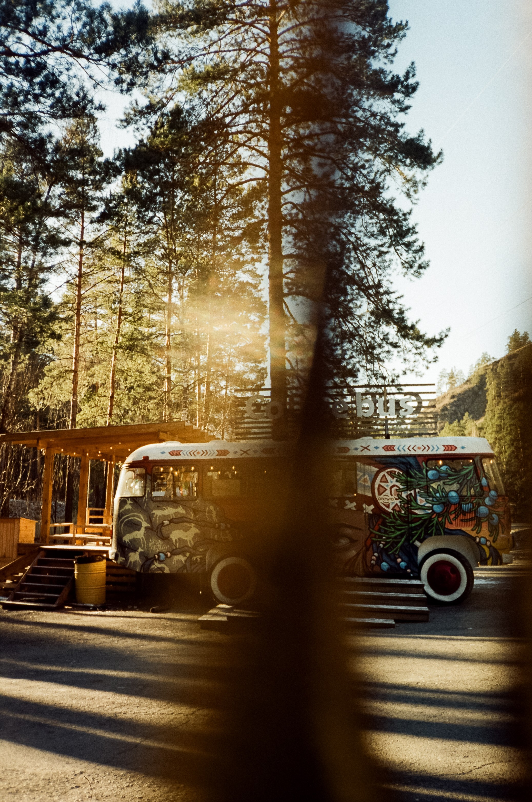 Зимний Coffee Bus в «летнем» лесу. Чемал. Фотограф-документалист Мария Осокина