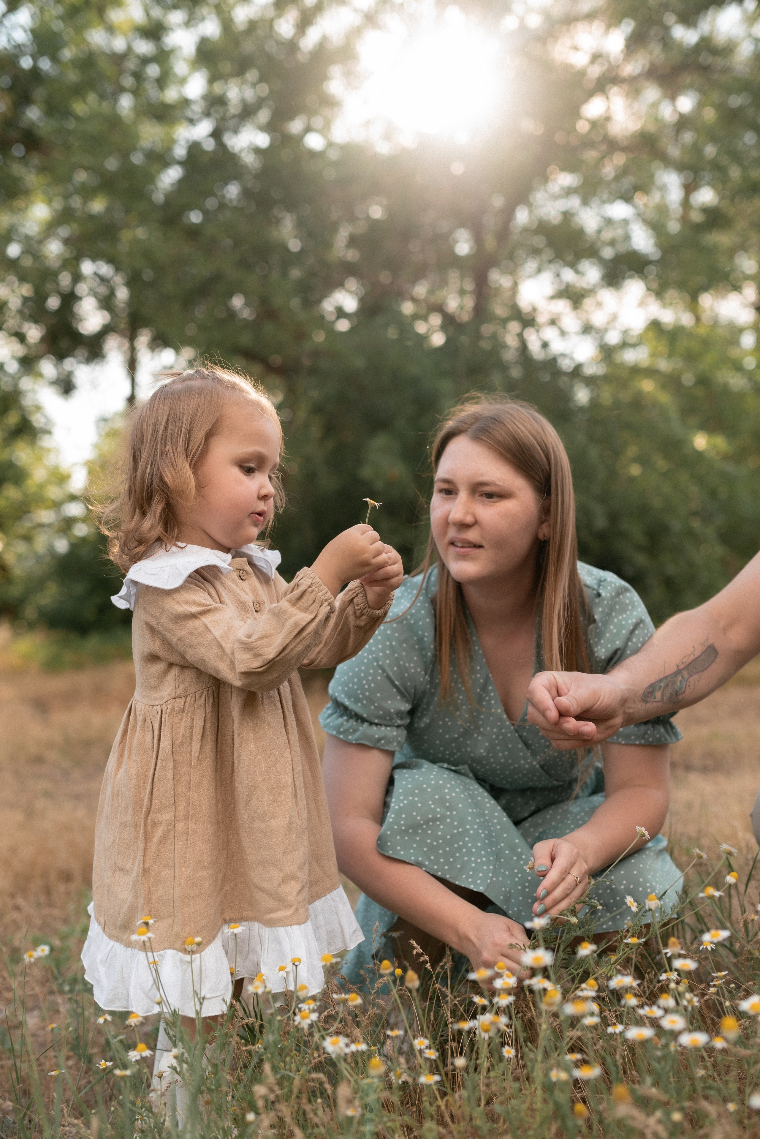 С+Н+В. Семейный фотограф Ирина Сгибнева