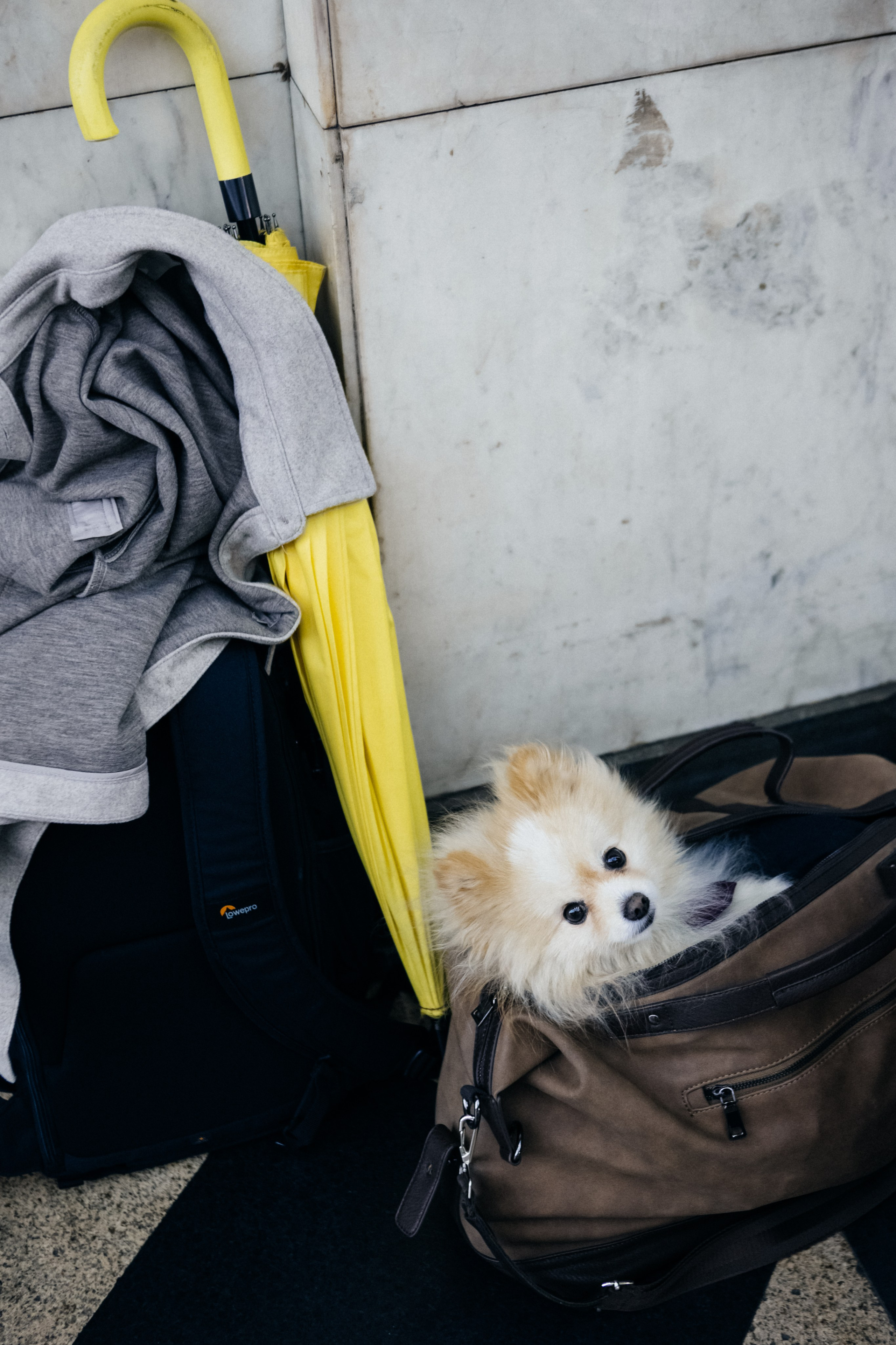 Свадьба (репортаж). Репортажный фотограф в Санкт-Петербурге. Фотограф на мероприятие в СПБ