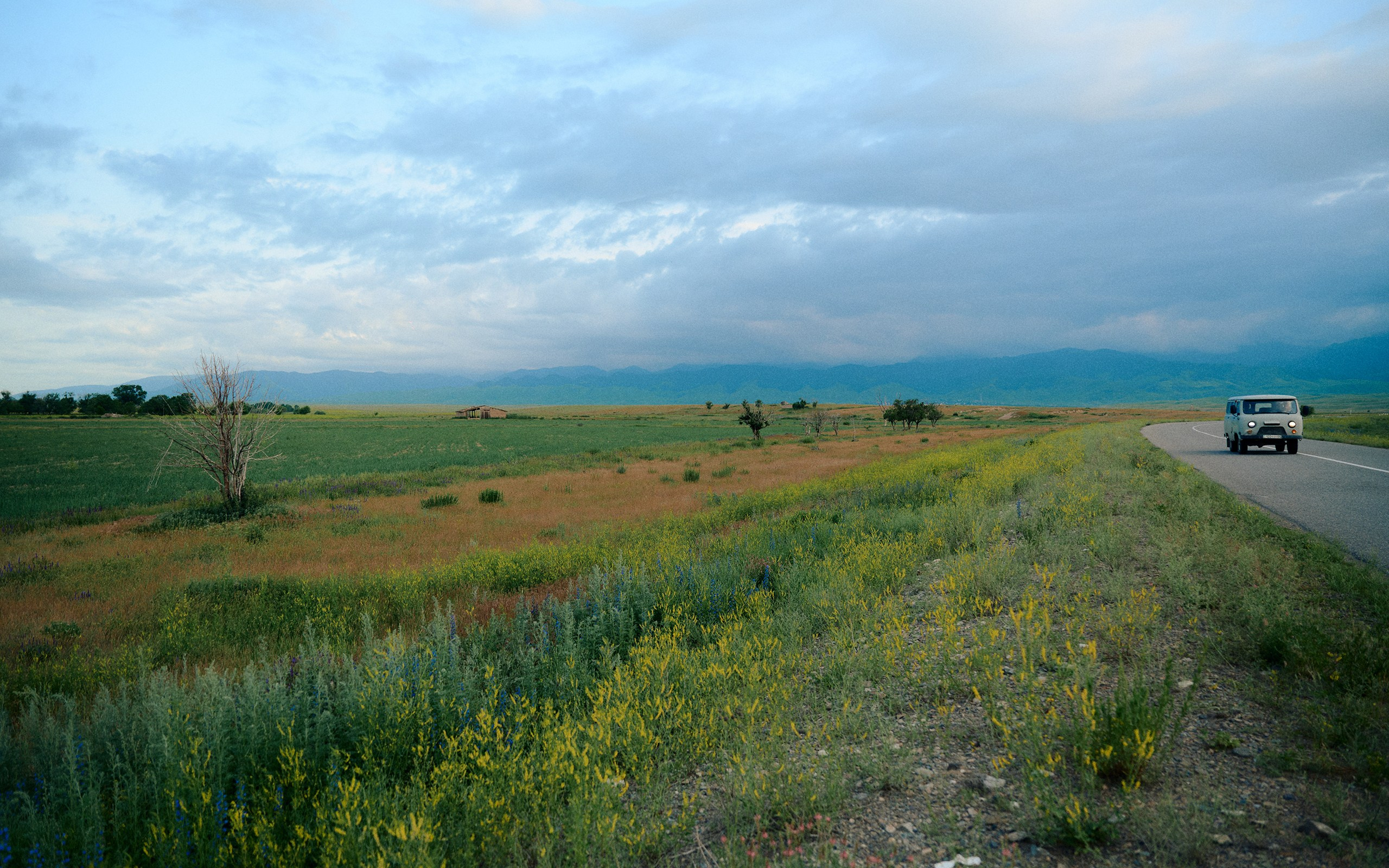 2025 — путешествия на цифру. Фотограф в Алматы — Алексей Коньков | Репортаж, свадьбы, портреты