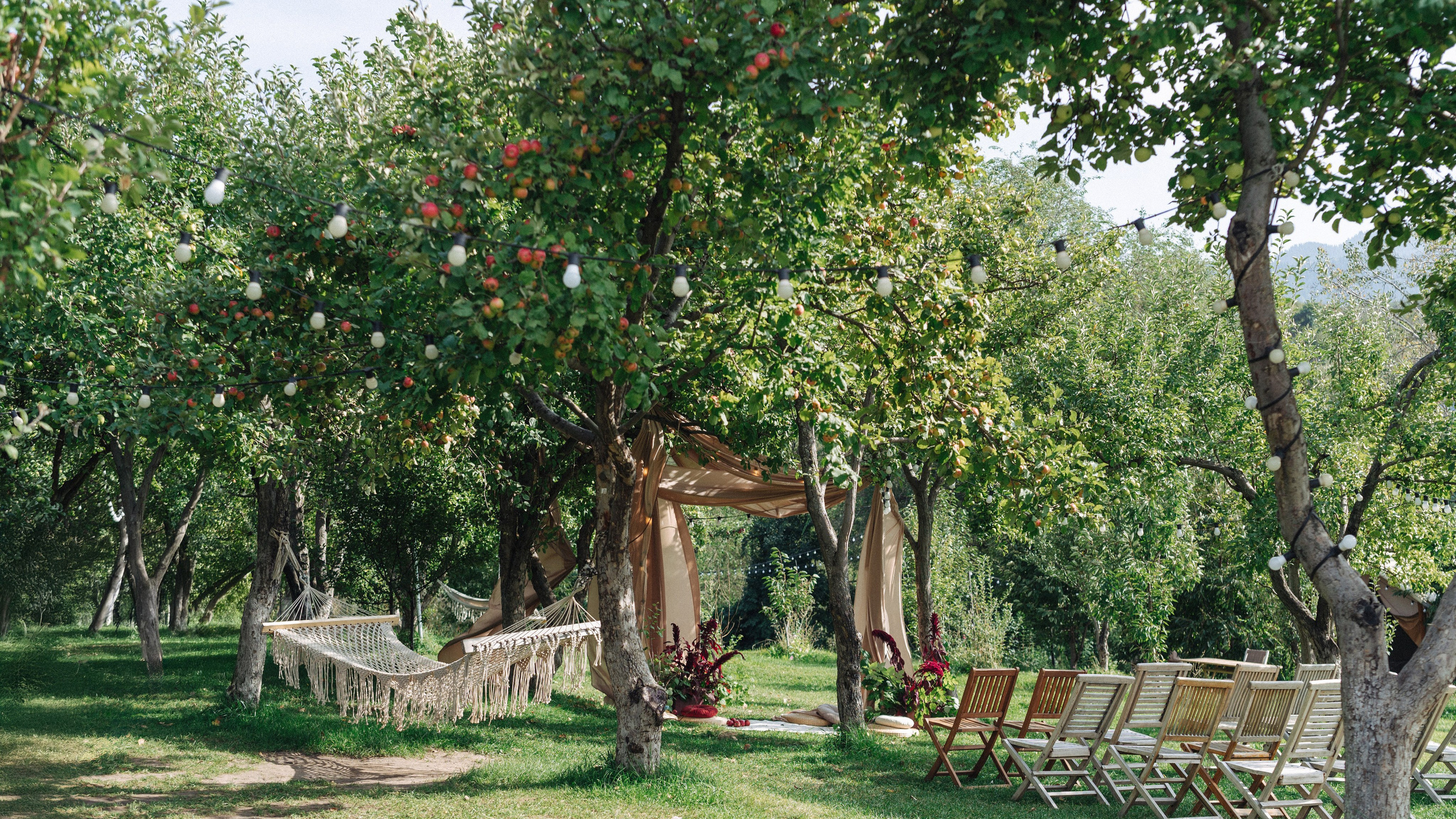 Свадебный фотограф в Алматы — Алексей Коньков | Формат и стоимость. Фотограф в Алматы — Алексей Коньков | Репортаж, свадьбы, портреты, Love story