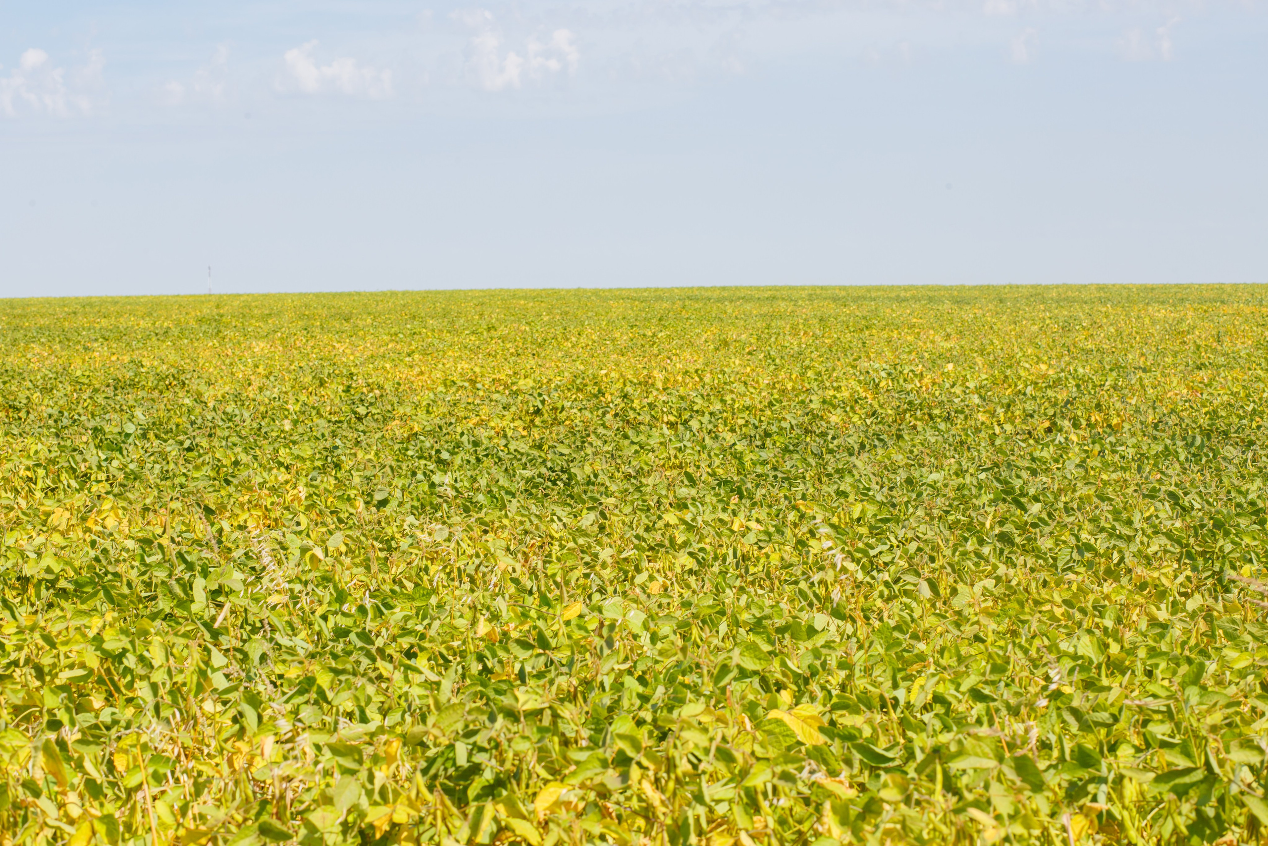 Агротерра. Фотограф Яков Поспехов