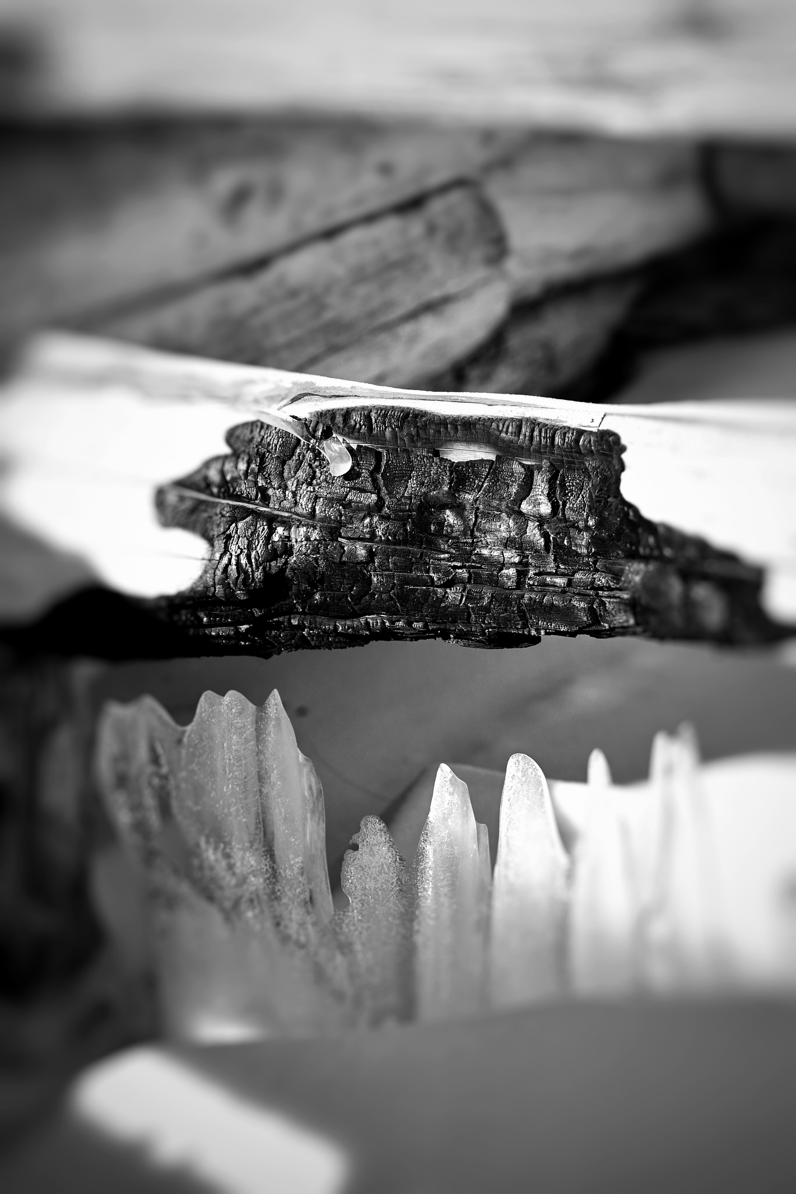 2022. Тащилин Сергей. Фотографии. Жизнь. Хобби