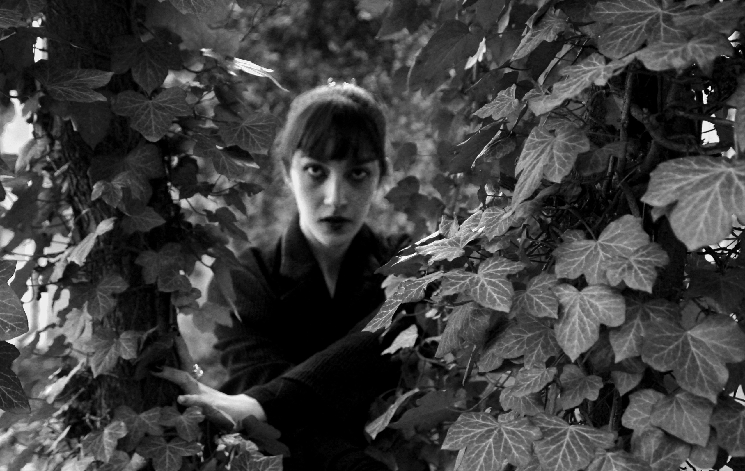 Brittle as a heart. Серж Дробович | Фотограф | Санкт-Петербург